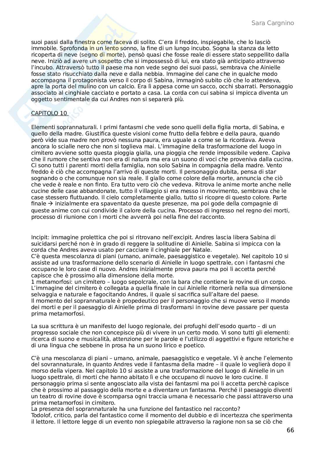 Letteratura spagnola I Pag. 66
