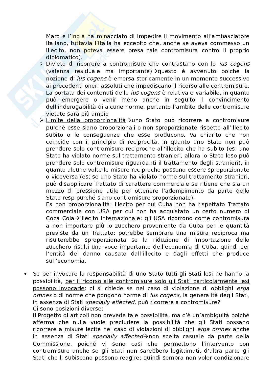 Appunti lezioni per esame di Diritto internazionale Pag. 51