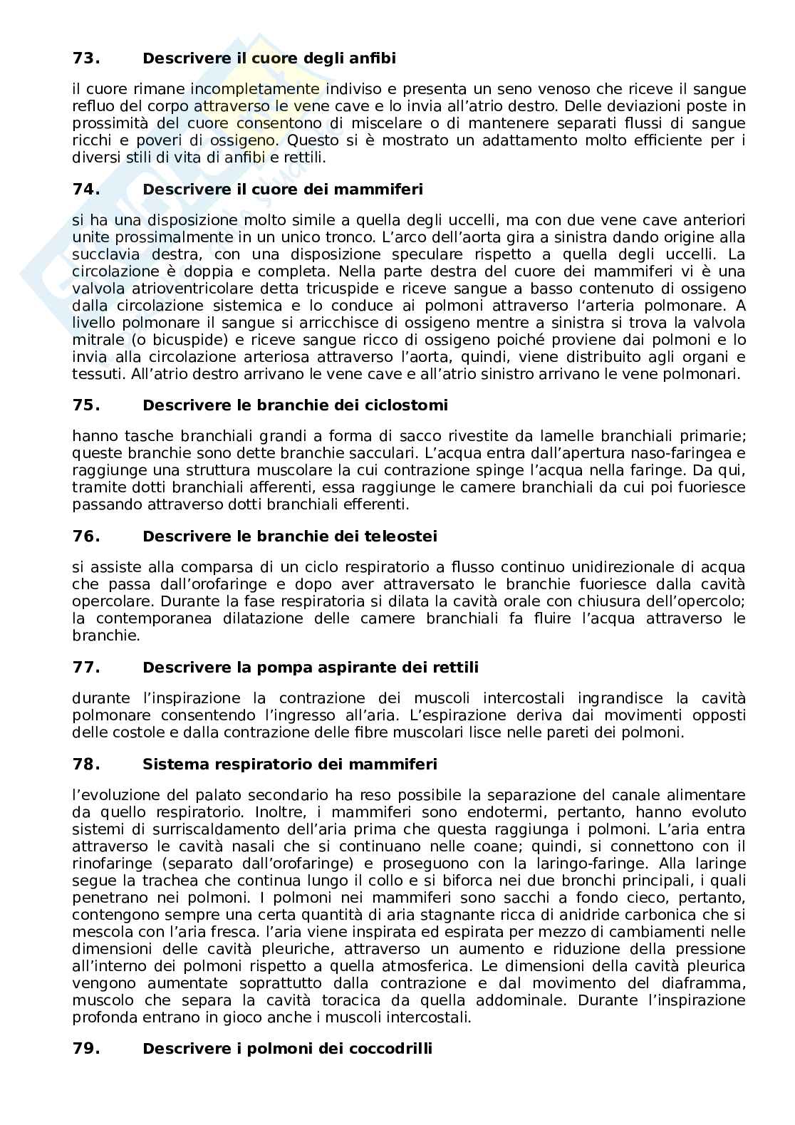 Domande aperte del paniere di Anatomia comparata e citologia Pag. 11