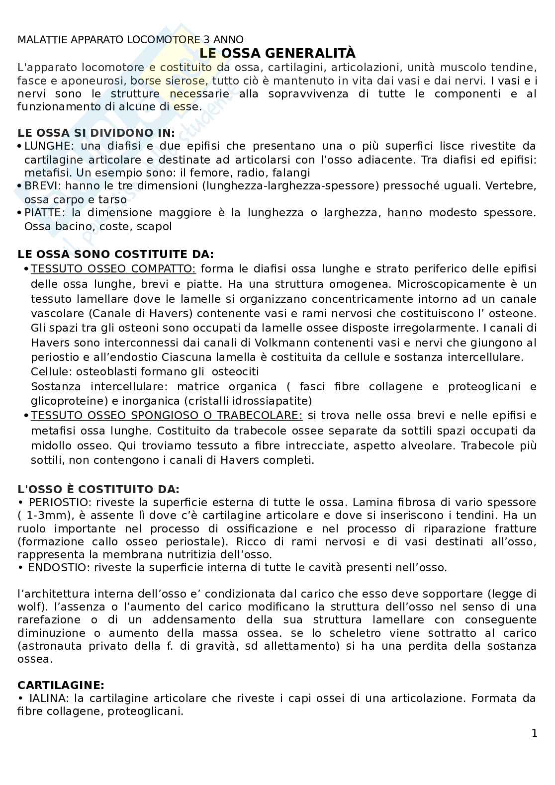 Apparato locomotore  Pag. 1