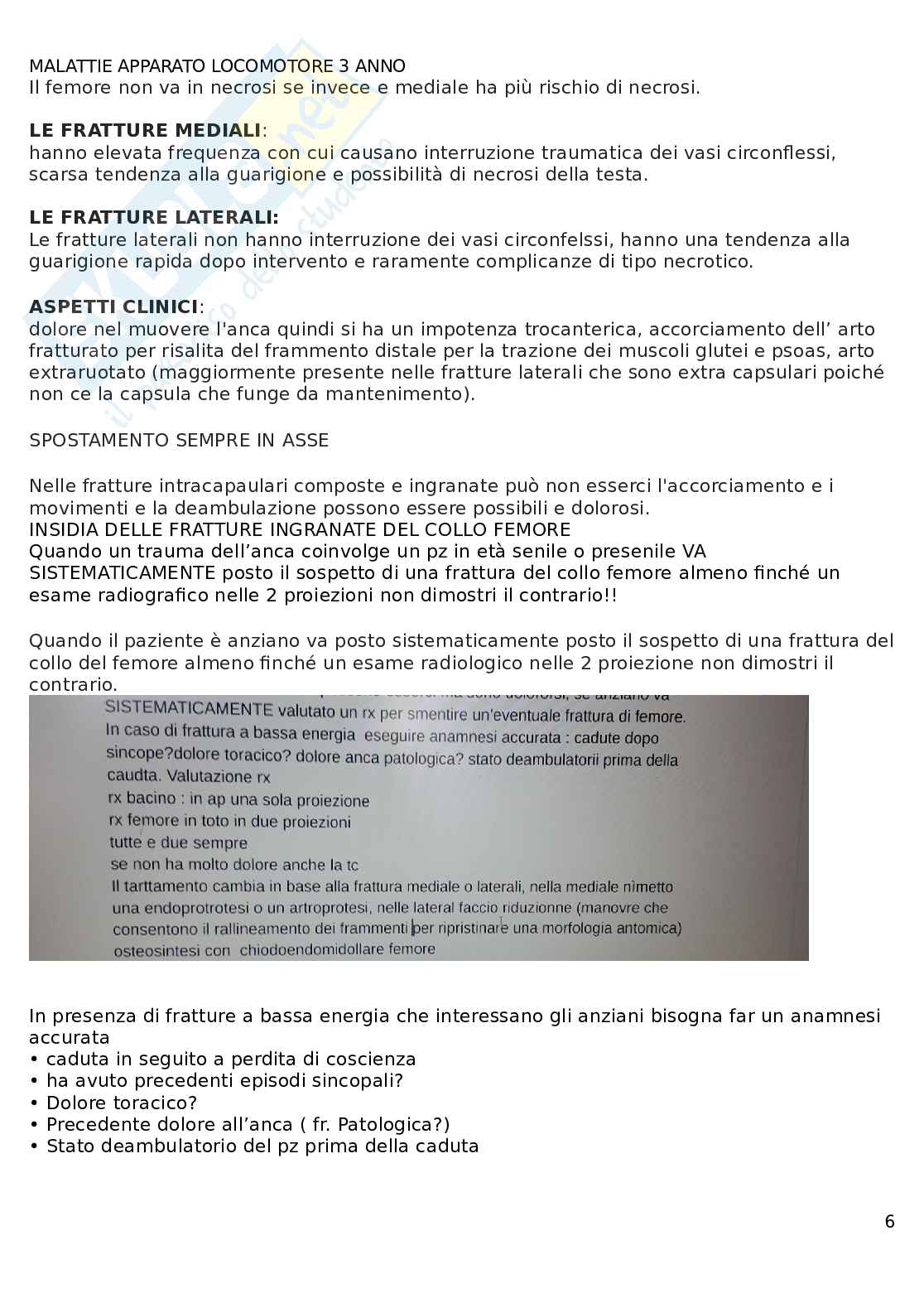 Apparato locomotore  Pag. 6