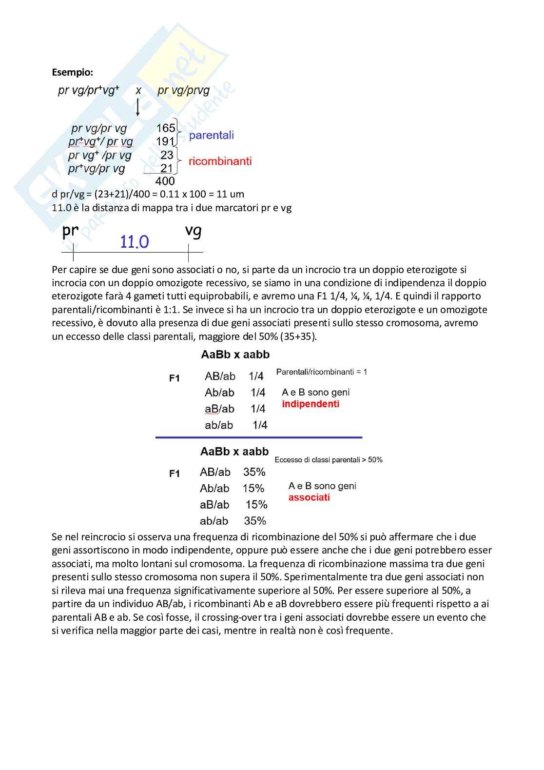 Genetica Pag. 51