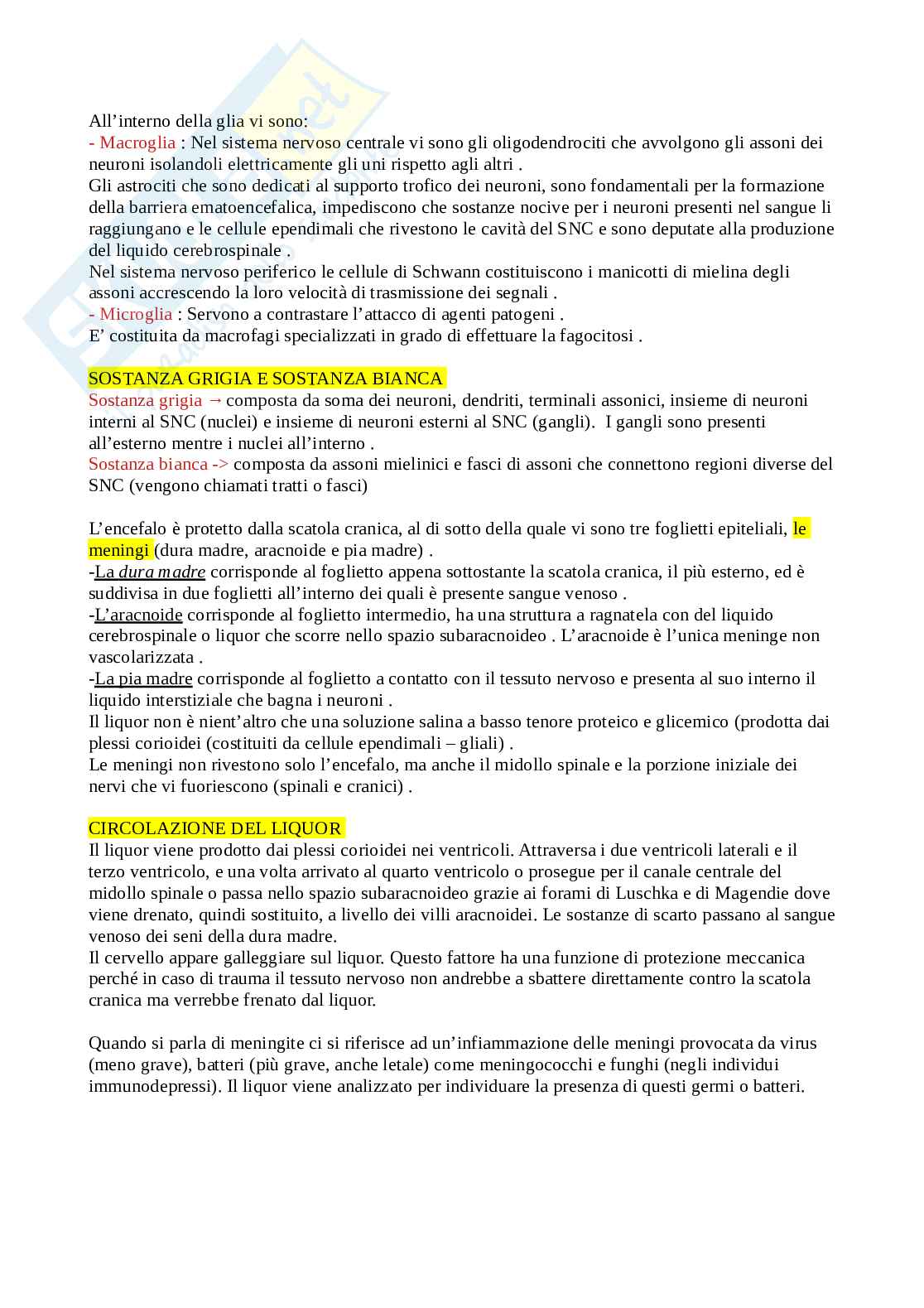 Appunti Fisiologia umana Pag. 2