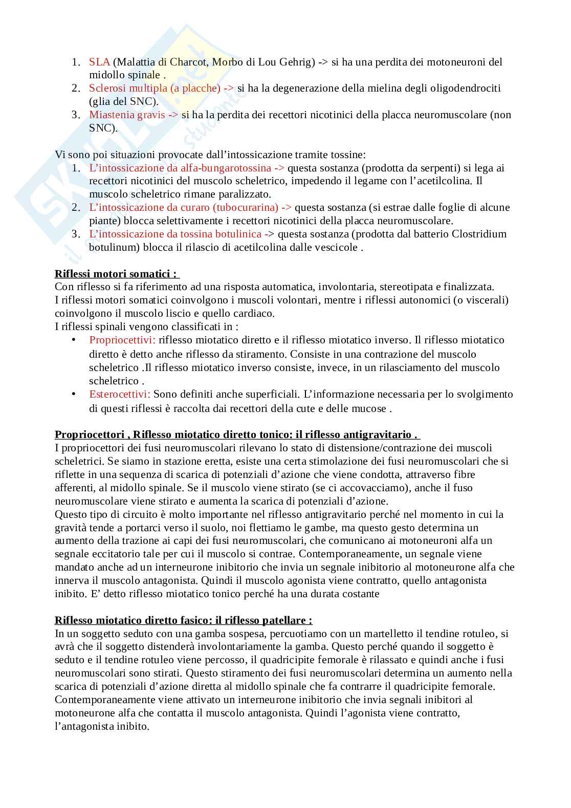 Appunti Fisiologia umana Pag. 21