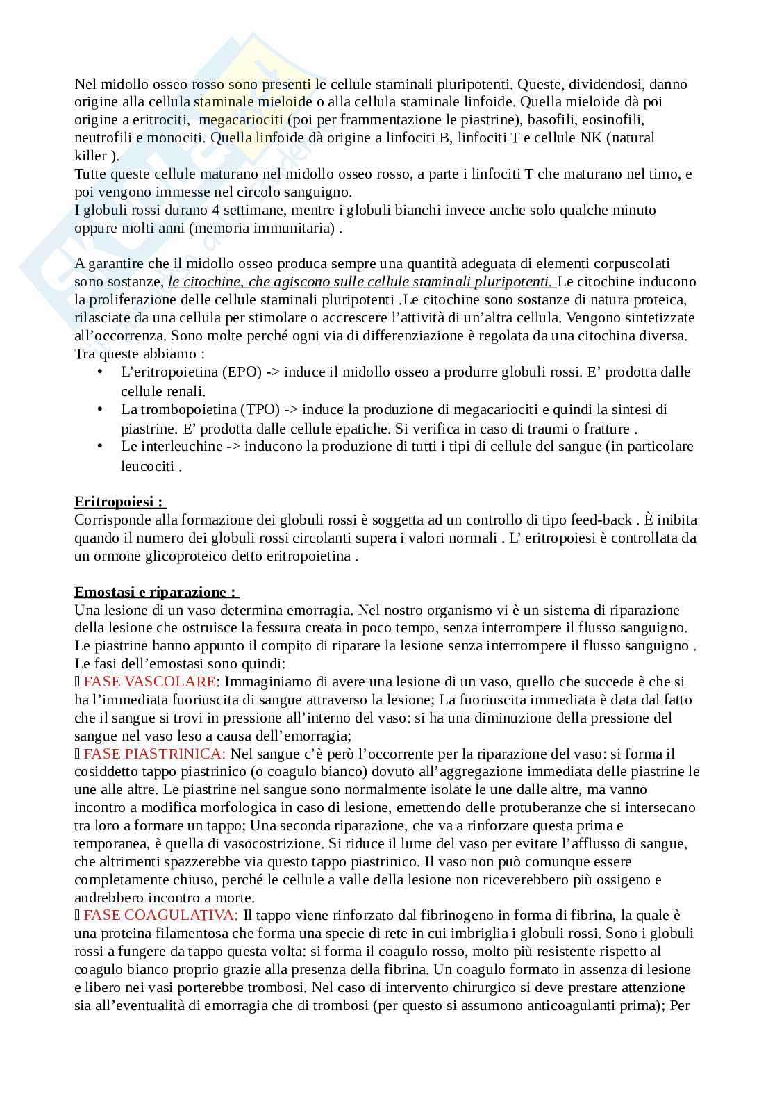 Appunti Fisiologia umana Pag. 31