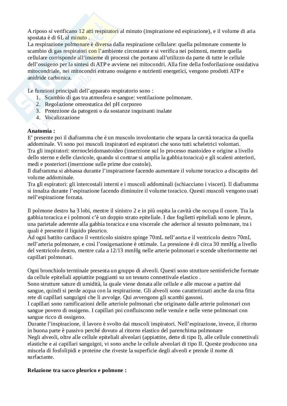 Appunti Fisiologia umana Pag. 51