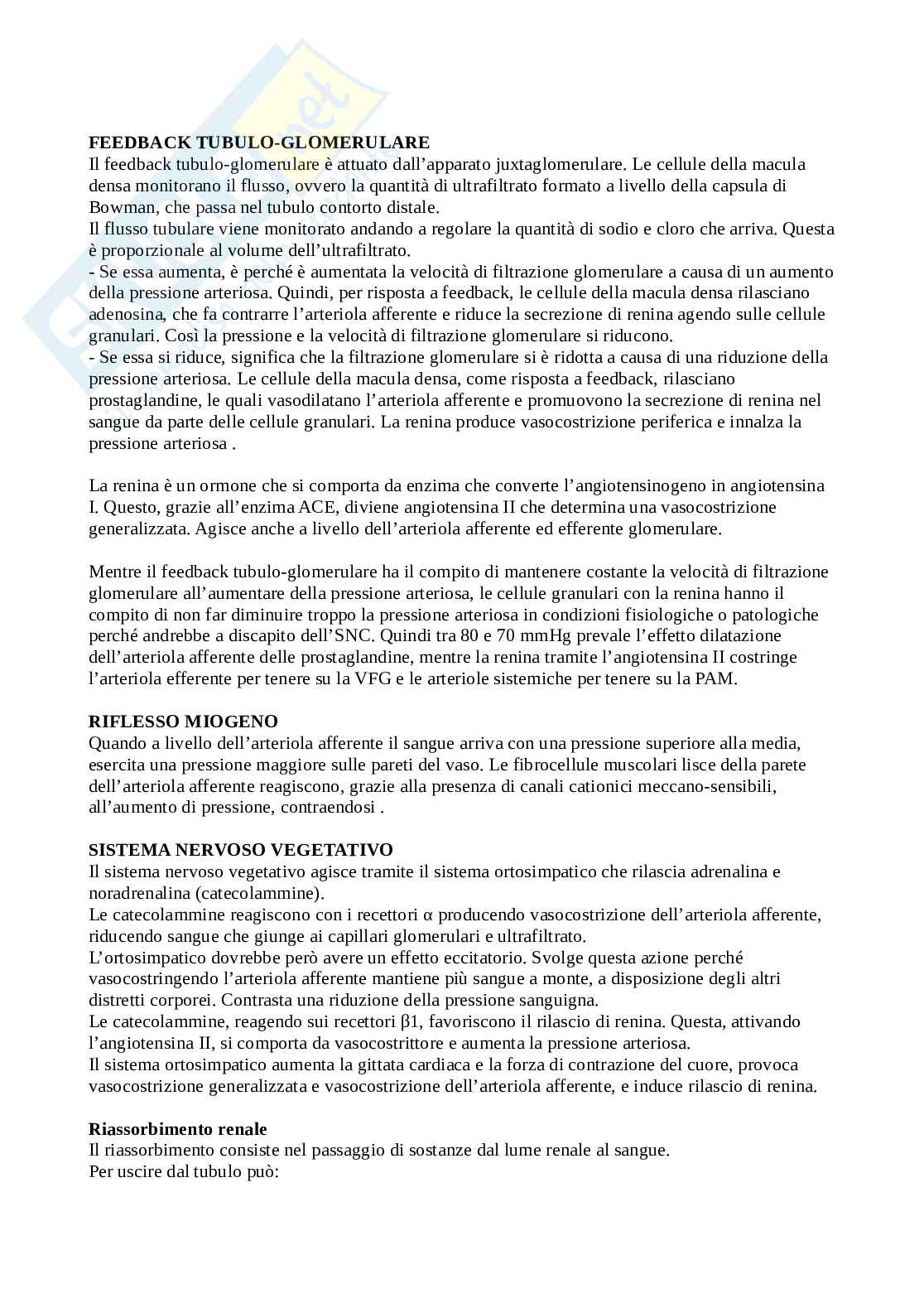 Appunti Fisiologia umana Pag. 61
