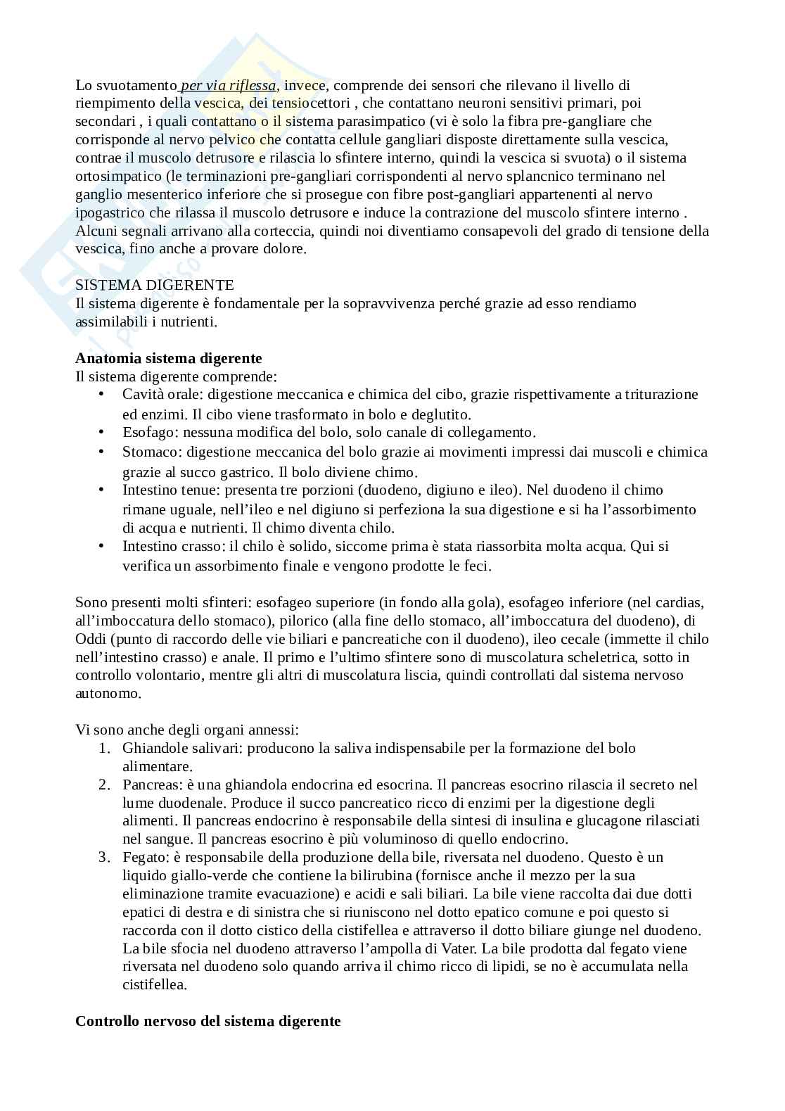 Appunti Fisiologia umana Pag. 66