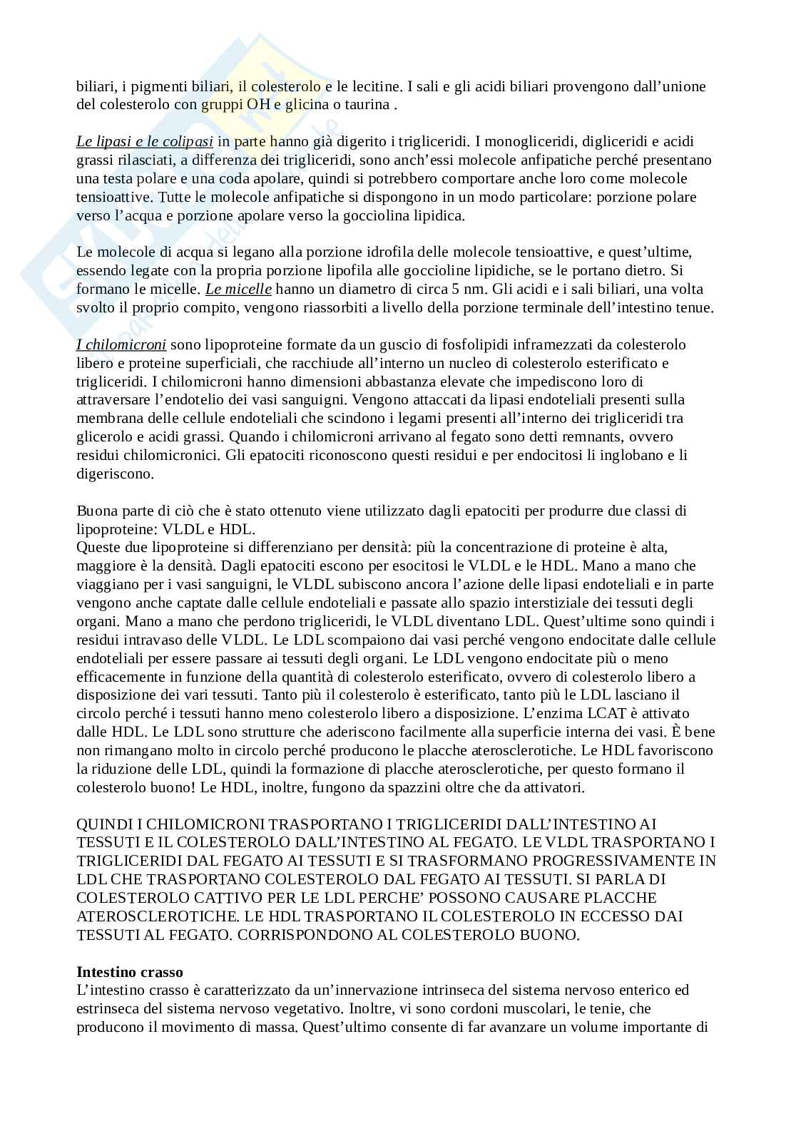 Appunti Fisiologia umana Pag. 71