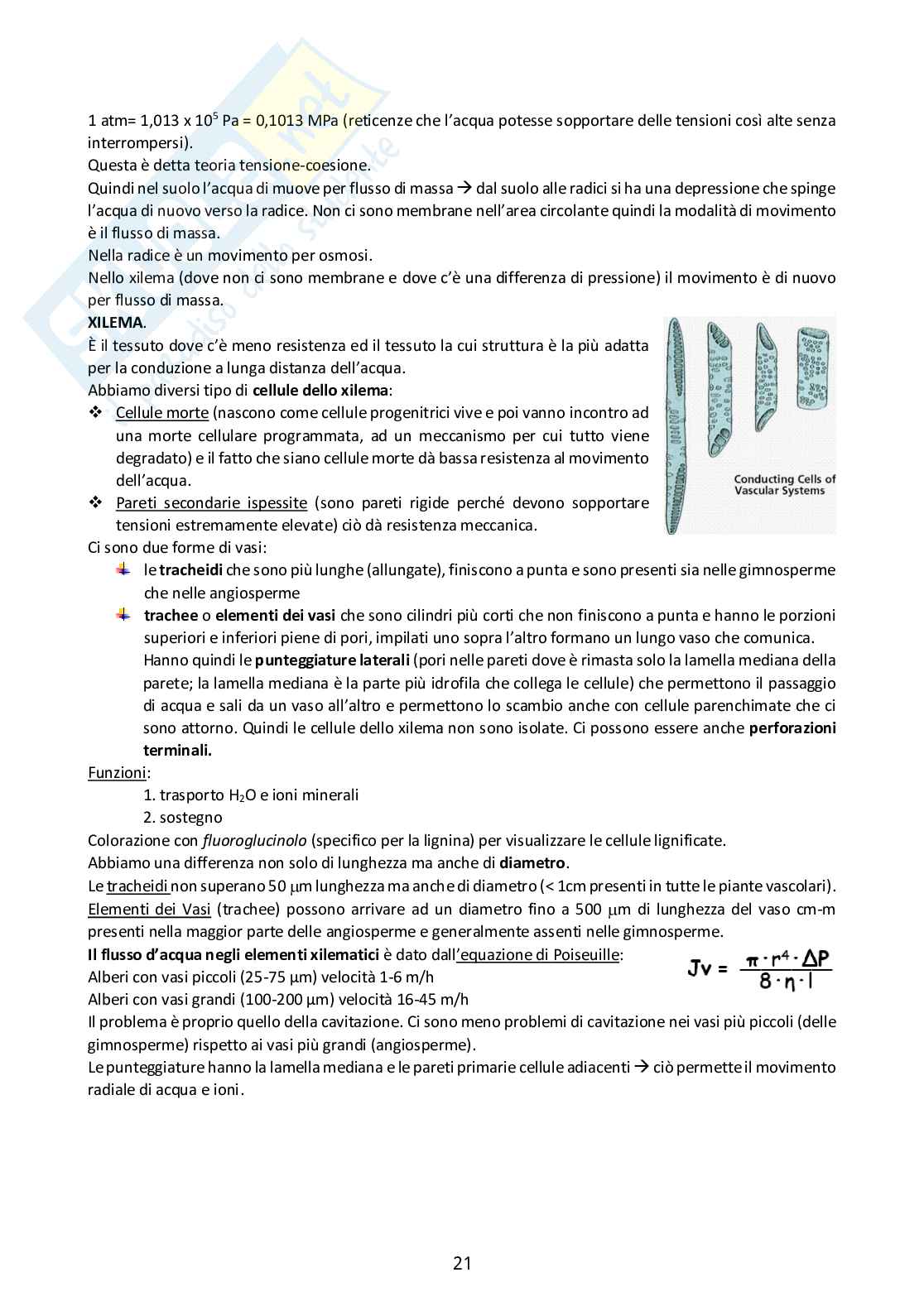 Fisiologia degli organismi vegetali  Pag. 21