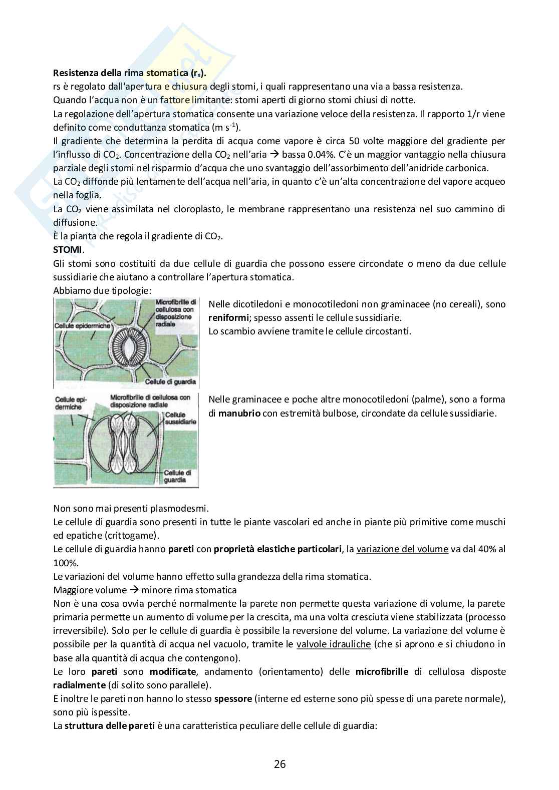 Fisiologia degli organismi vegetali  Pag. 26