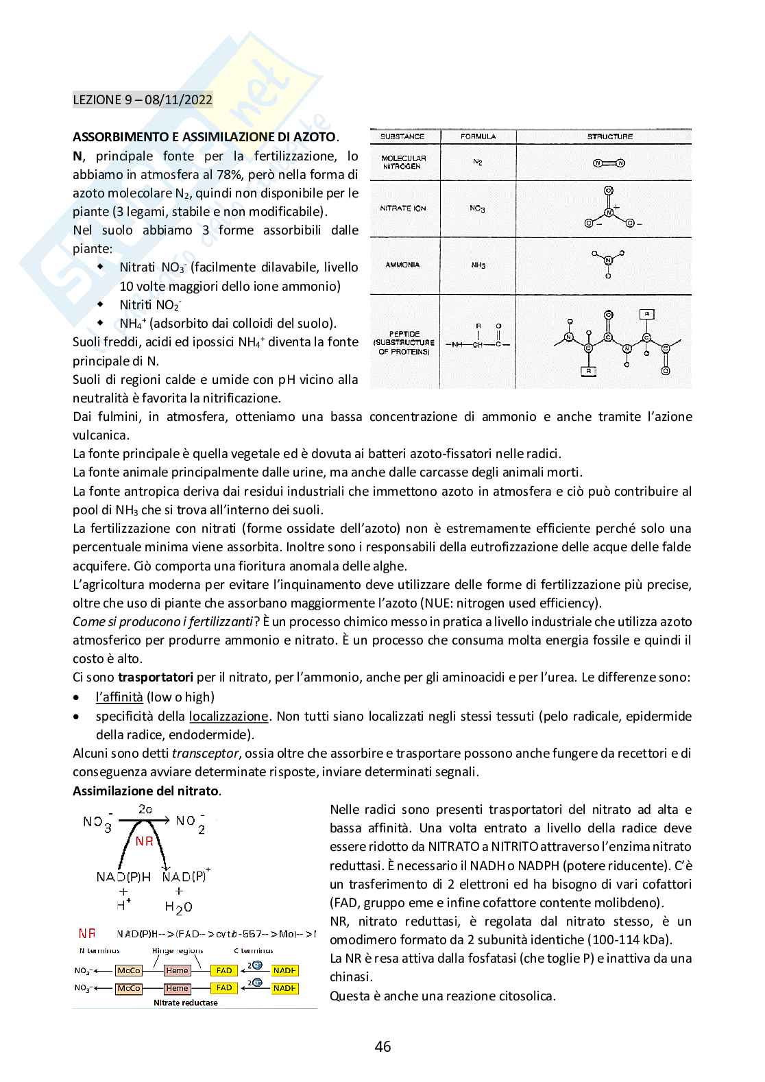 Fisiologia degli organismi vegetali  Pag. 46