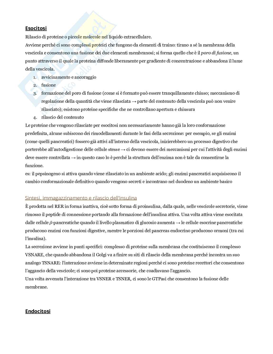 Appunti del corso di Biologia animale e fisiologia cellulare  Pag. 46