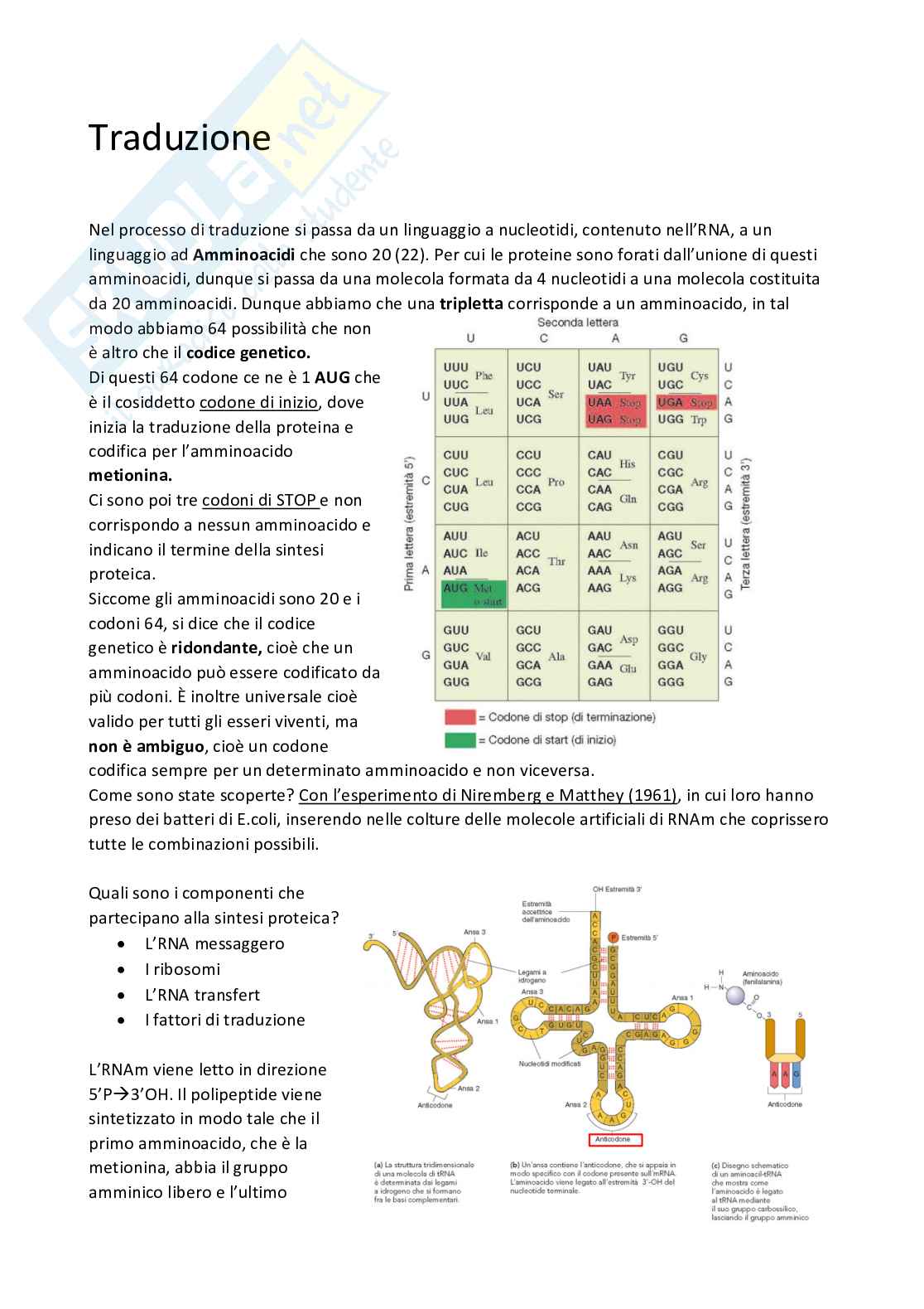 Biologia Molecolare Pag. 31