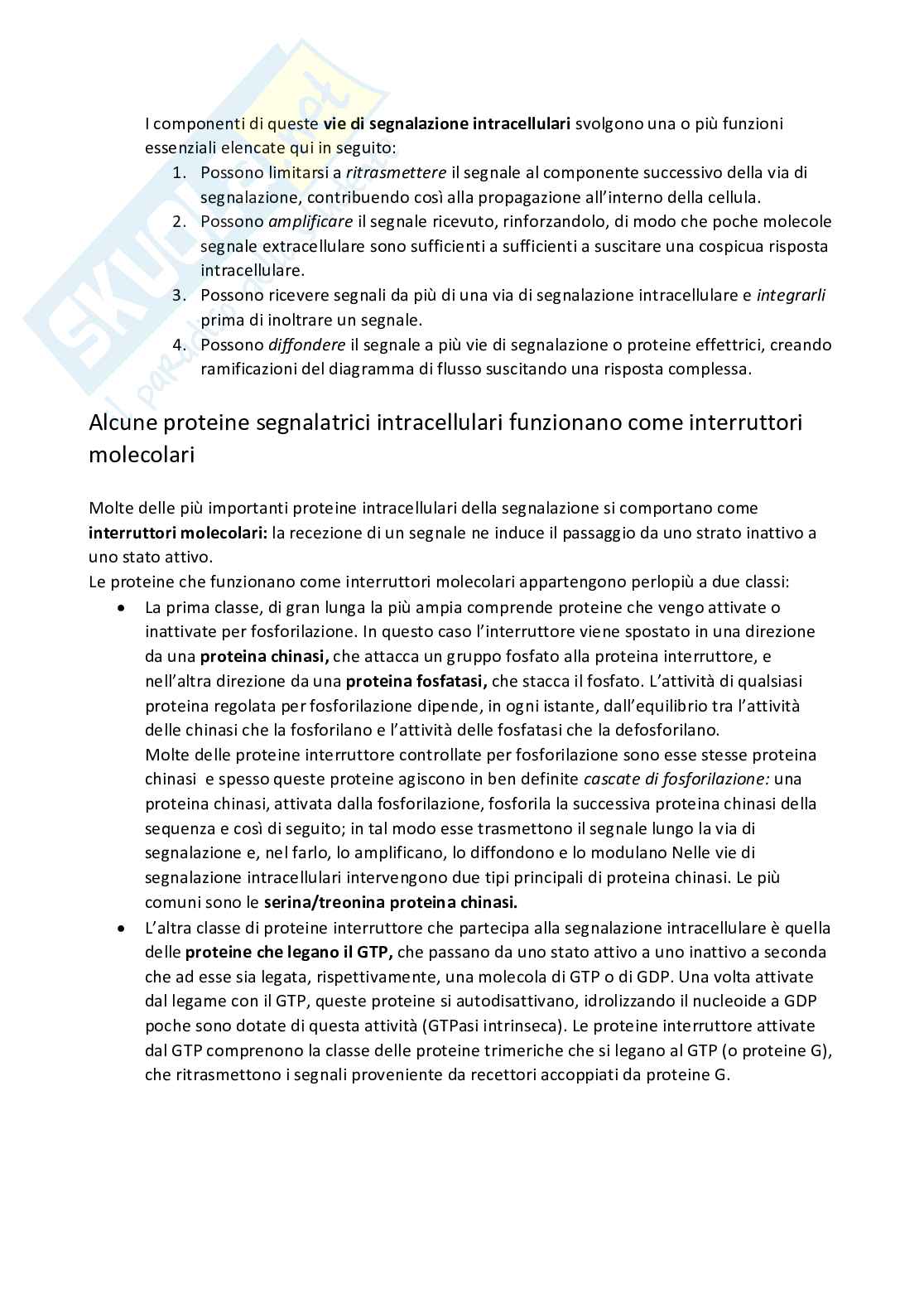 Biologia Molecolare Pag. 56