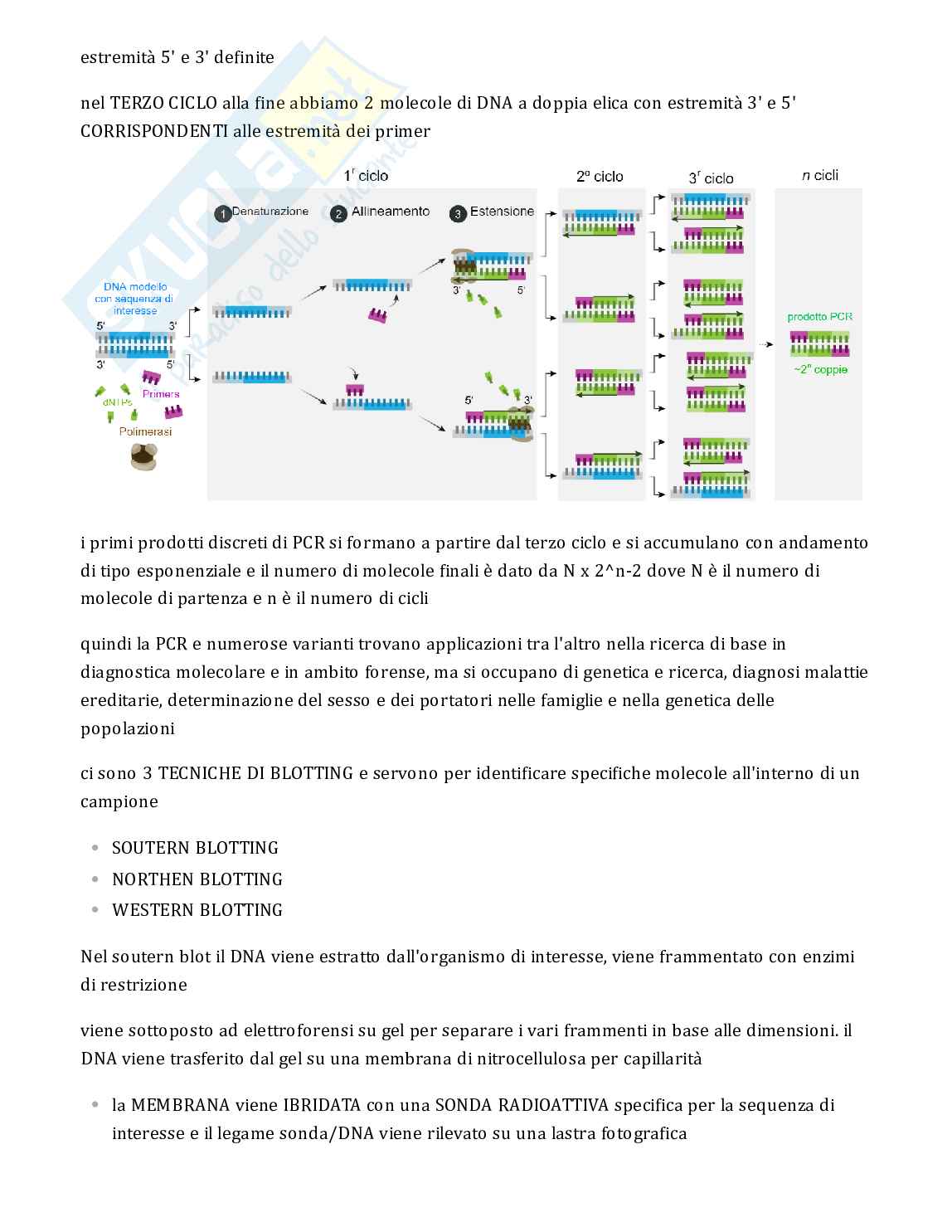 Testo completo sulla PCR per esame Genetica Pag. 2