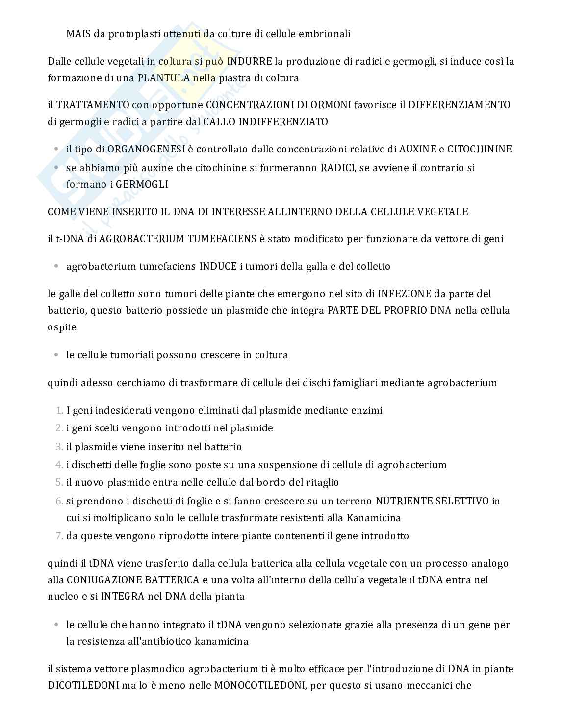 Testo completo sulla PCR per esame Genetica Pag. 6