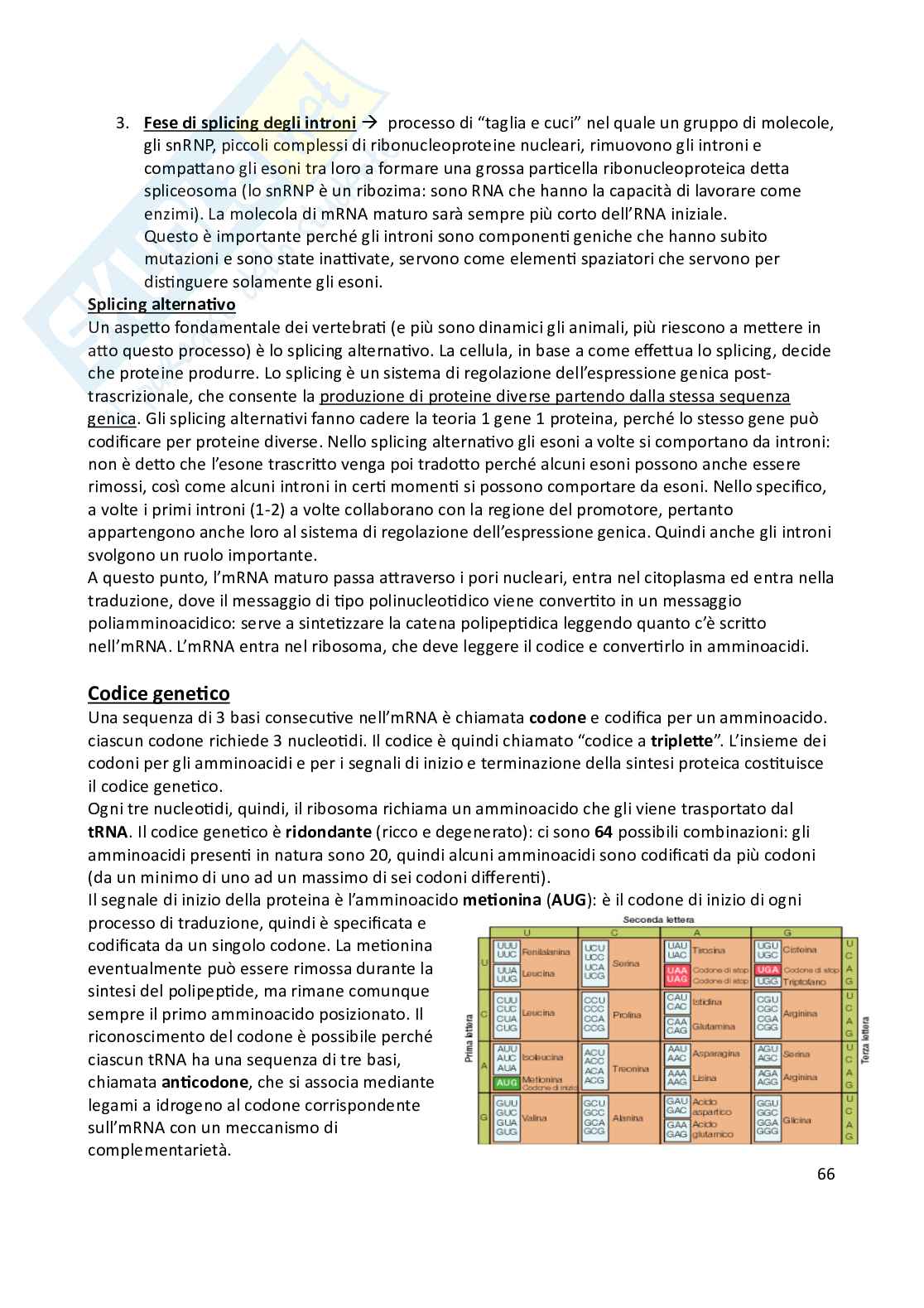 Biologia animale Pag. 66