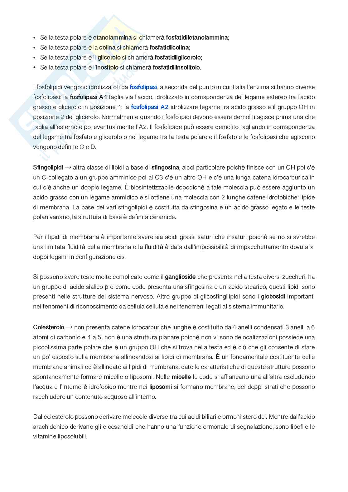 2ª e ultima parte degli appunti di biochimica generale    Pag. 16
