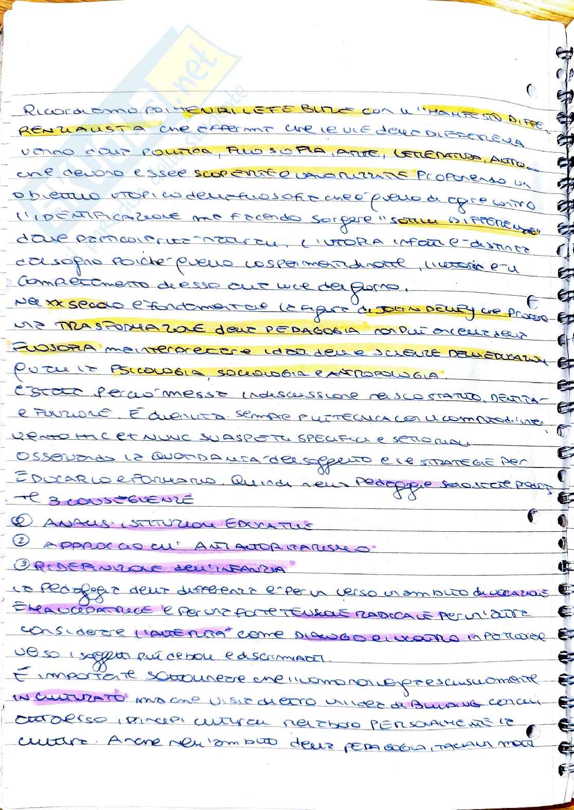 Pedagogia sociale e Istituzioni: analisi dei processi di inclusione e giustizia Pag. 1