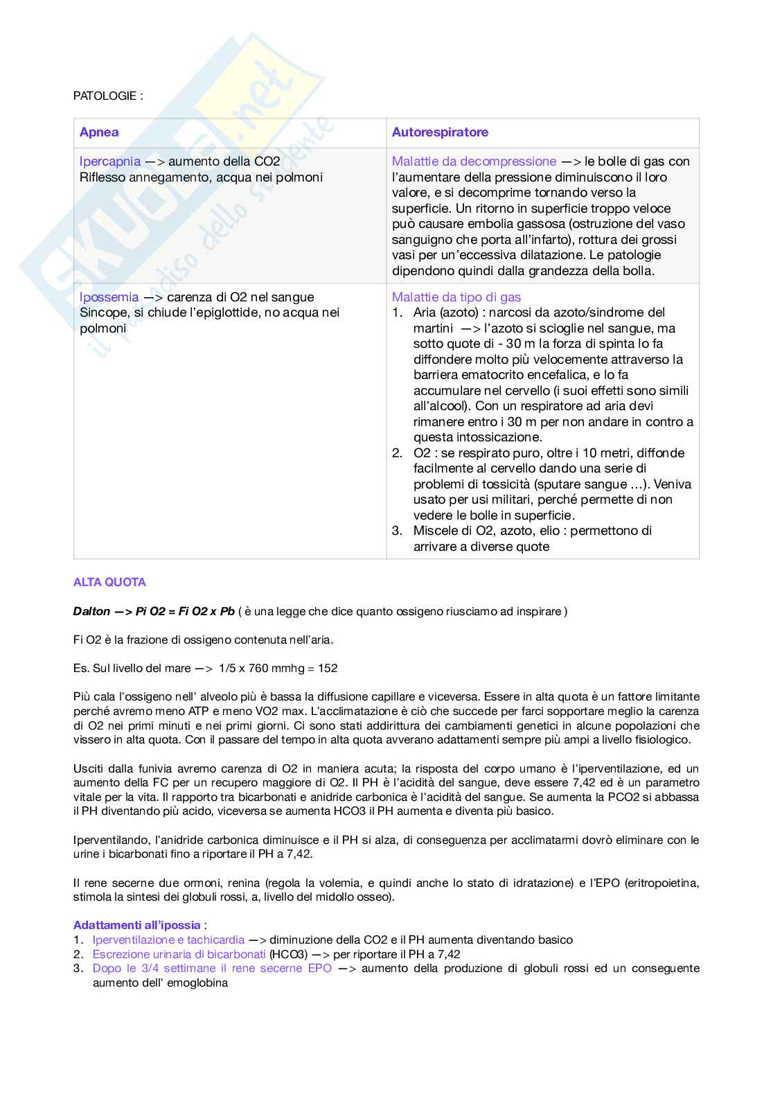 Fisiologia applicata allo sport Pag. 11