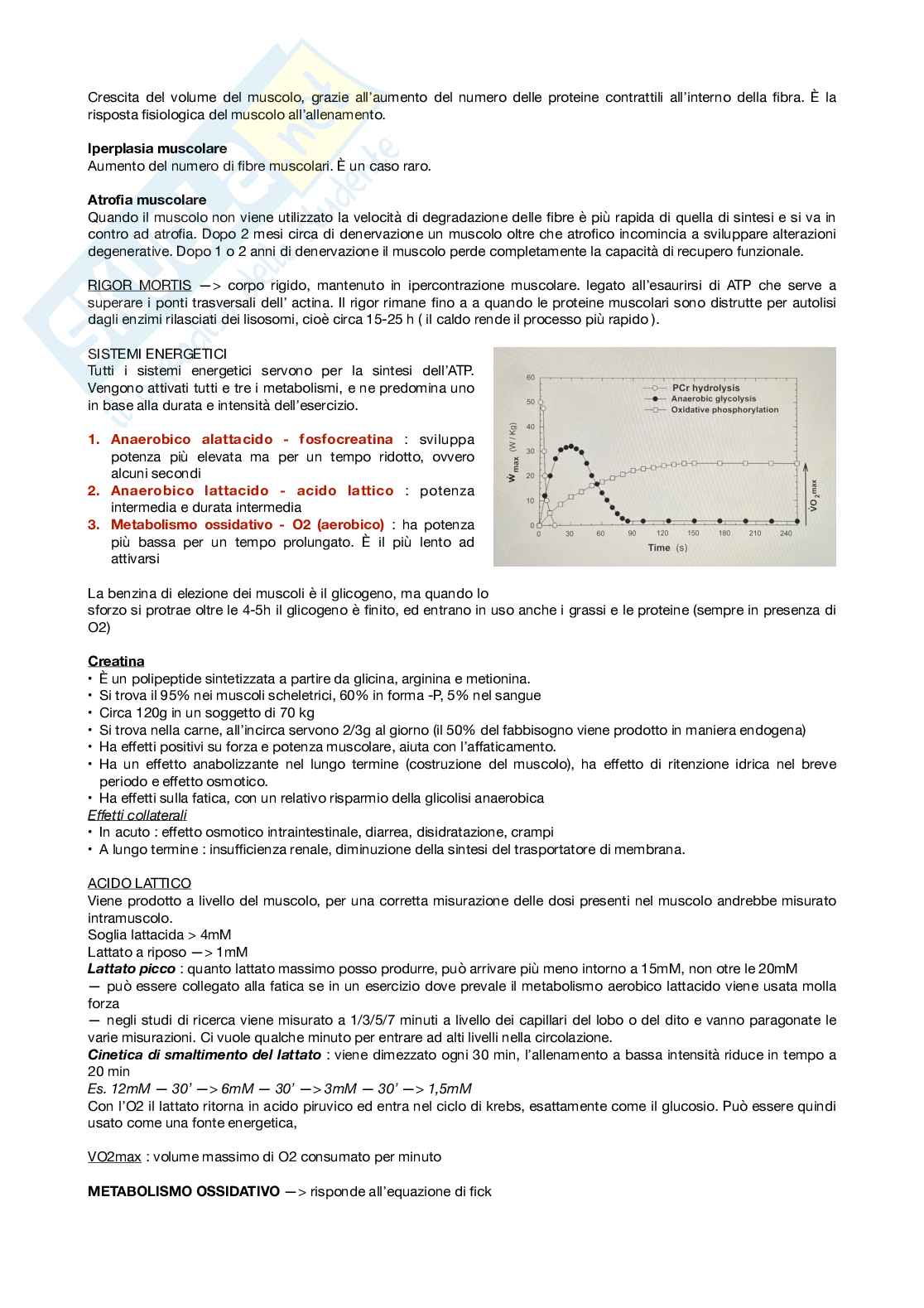 Fisiologia applicata allo sport Pag. 6