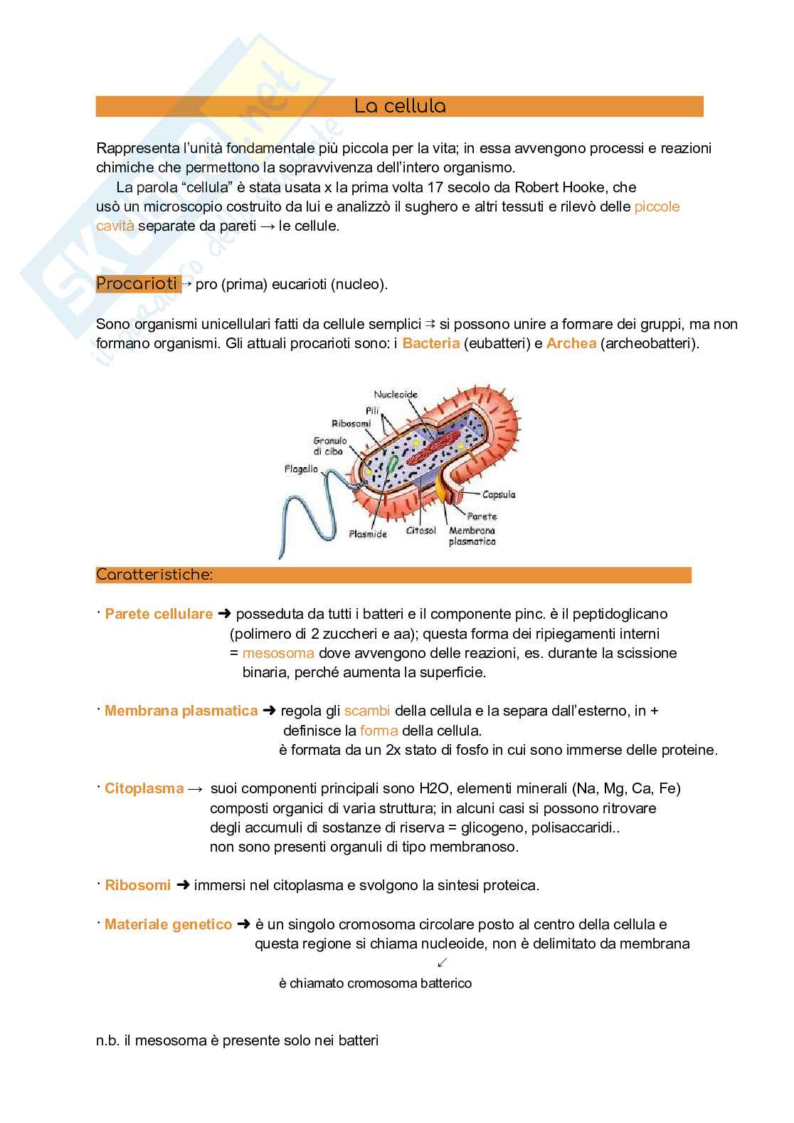 Riassunto esame Elementi di biologia e produzioni primarie, Prof. Giorgi Annamaria, libro consigliato Biologia delle piante di Raven, Evert, Eichhorn Pag. 1