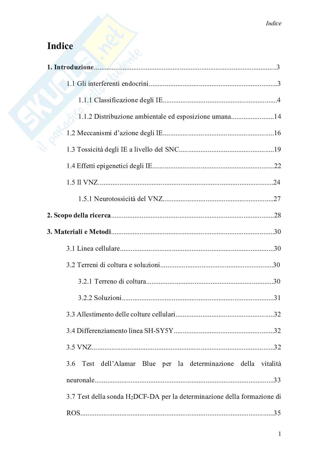 Modulazione delle vie di proliferazione cellulare mediata da vinclozolin in un modello in vitro di neuroblastoma umano Pag. 2