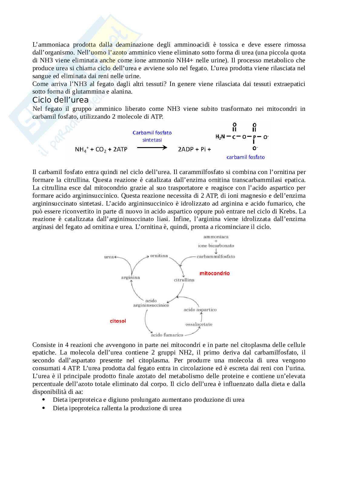 Biochimica Pag. 51