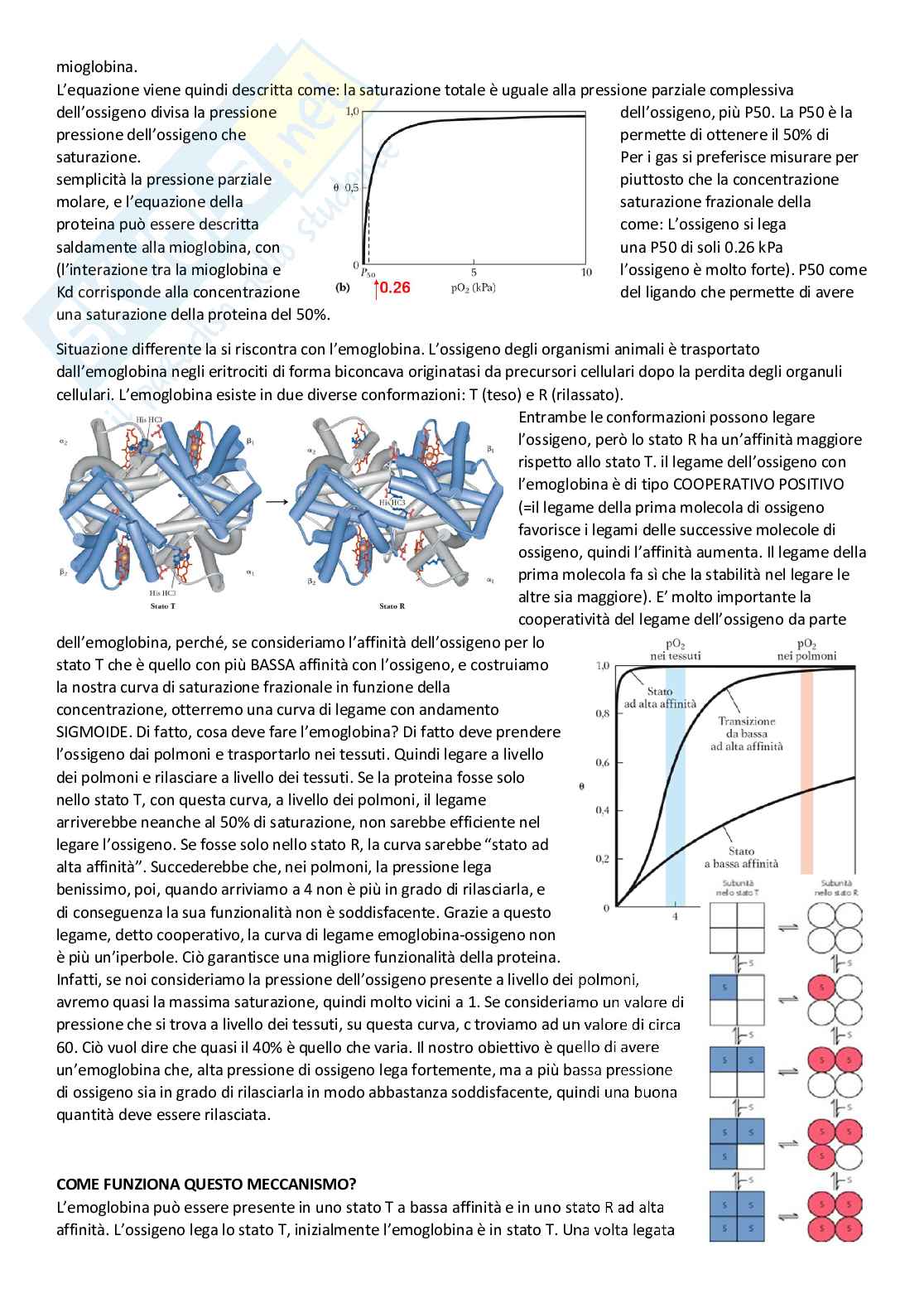 Biochimica Pag. 41