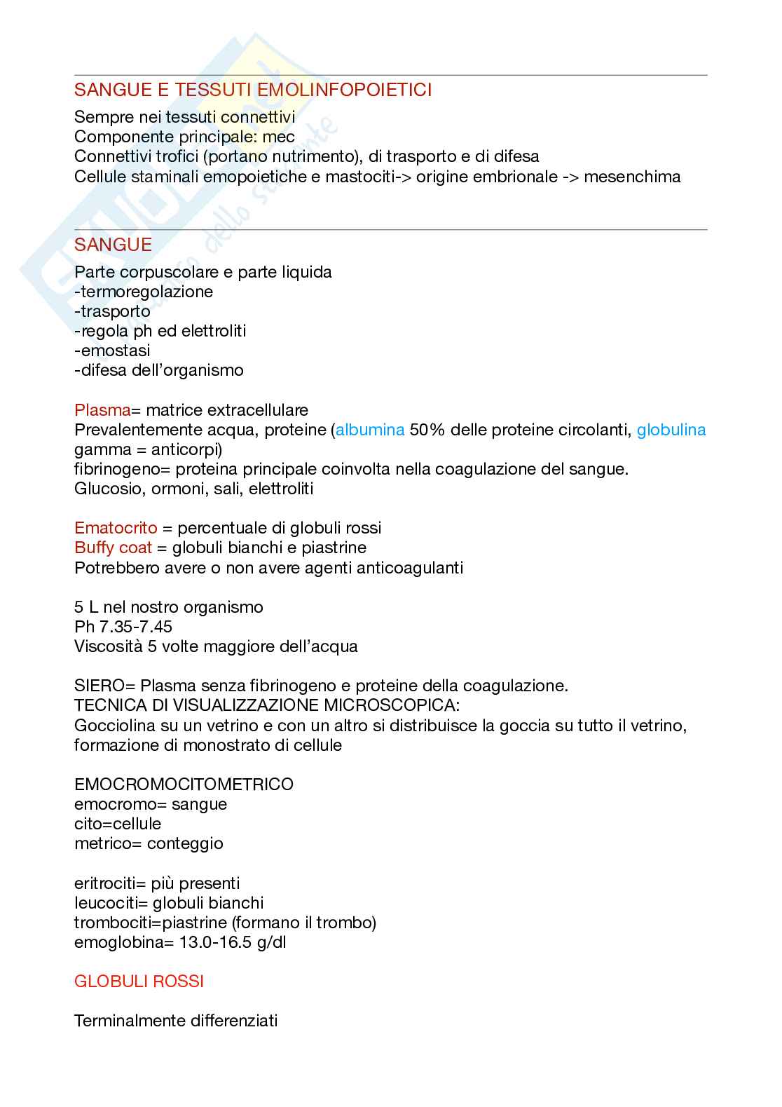 Istologia 1 anno Pag. 26