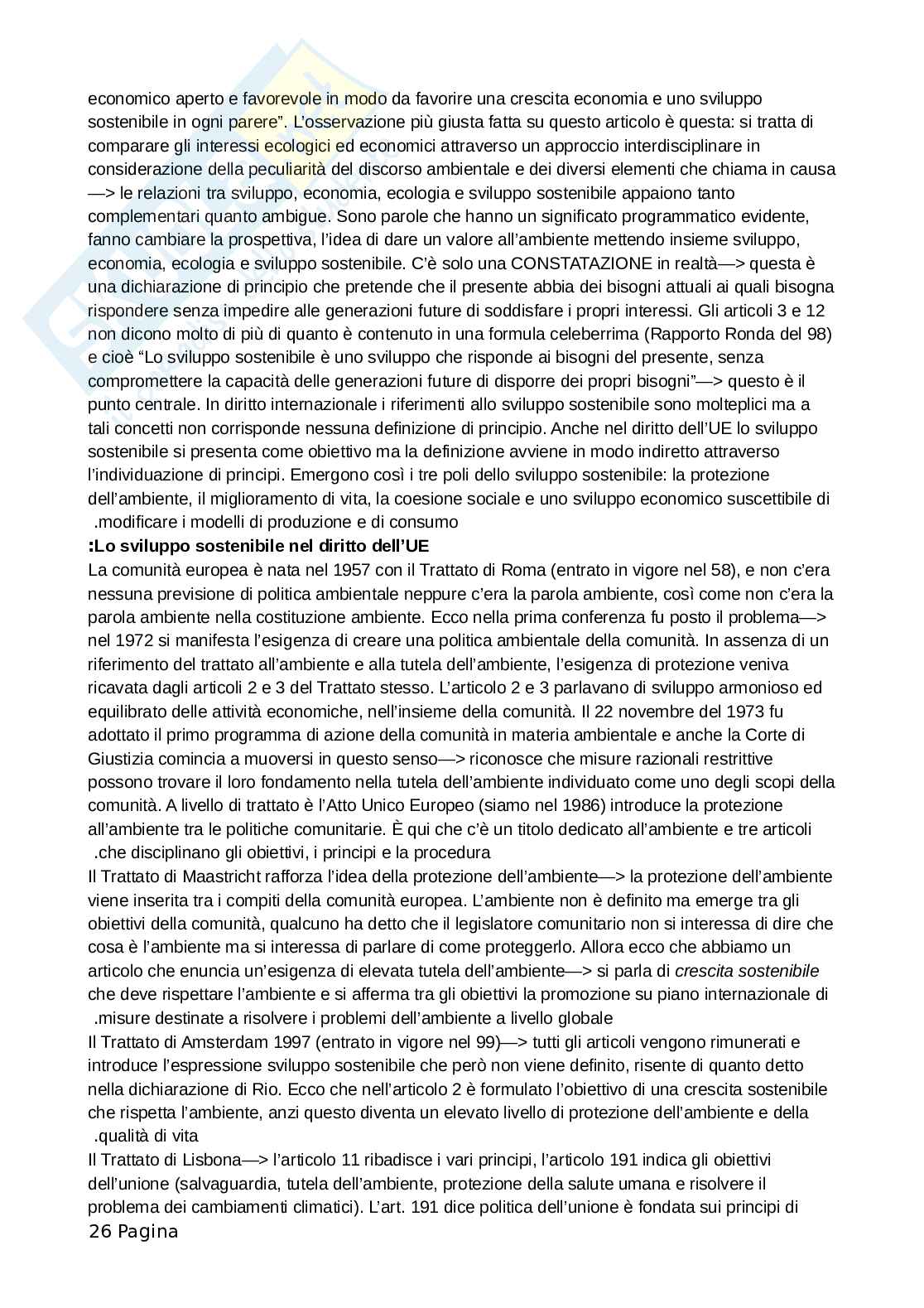 Appunti presi a lezione di Diritto amministrativo Pag. 26