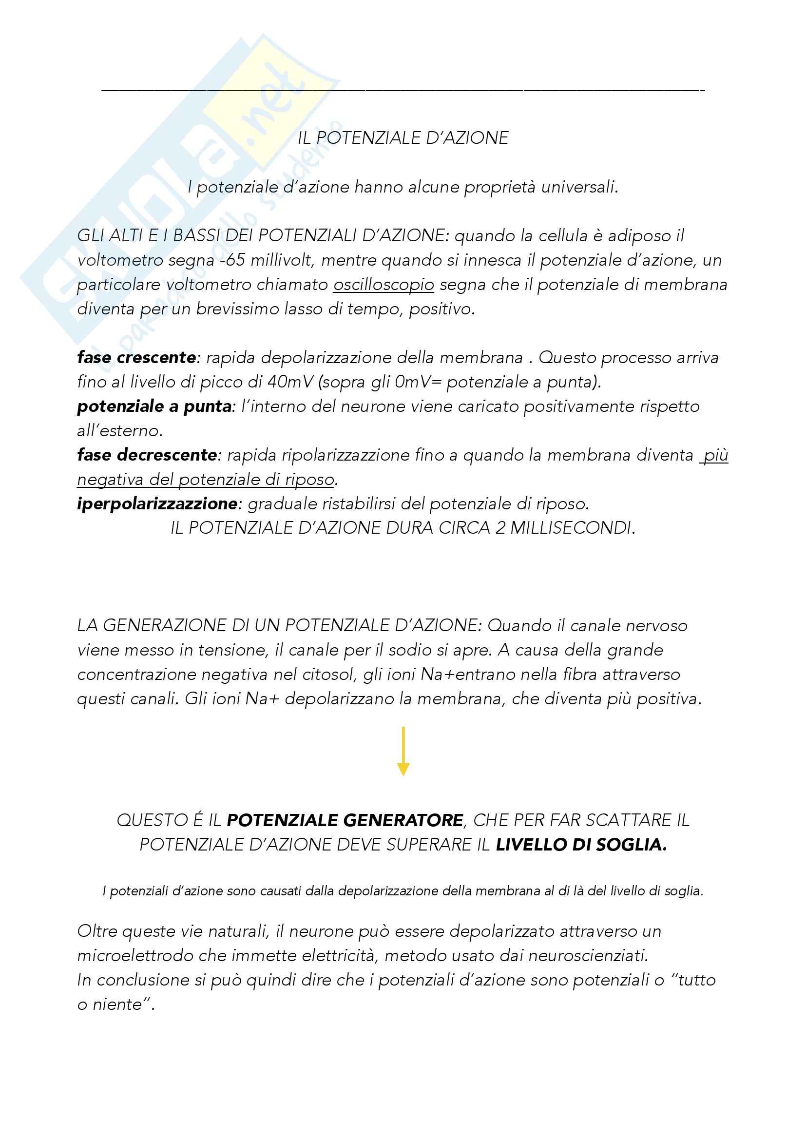 Riassunto esame Psicobiologia, prof. Dadda, libro consigliato Neuroscienze - esplorando il cervello, Bear Pag. 16
