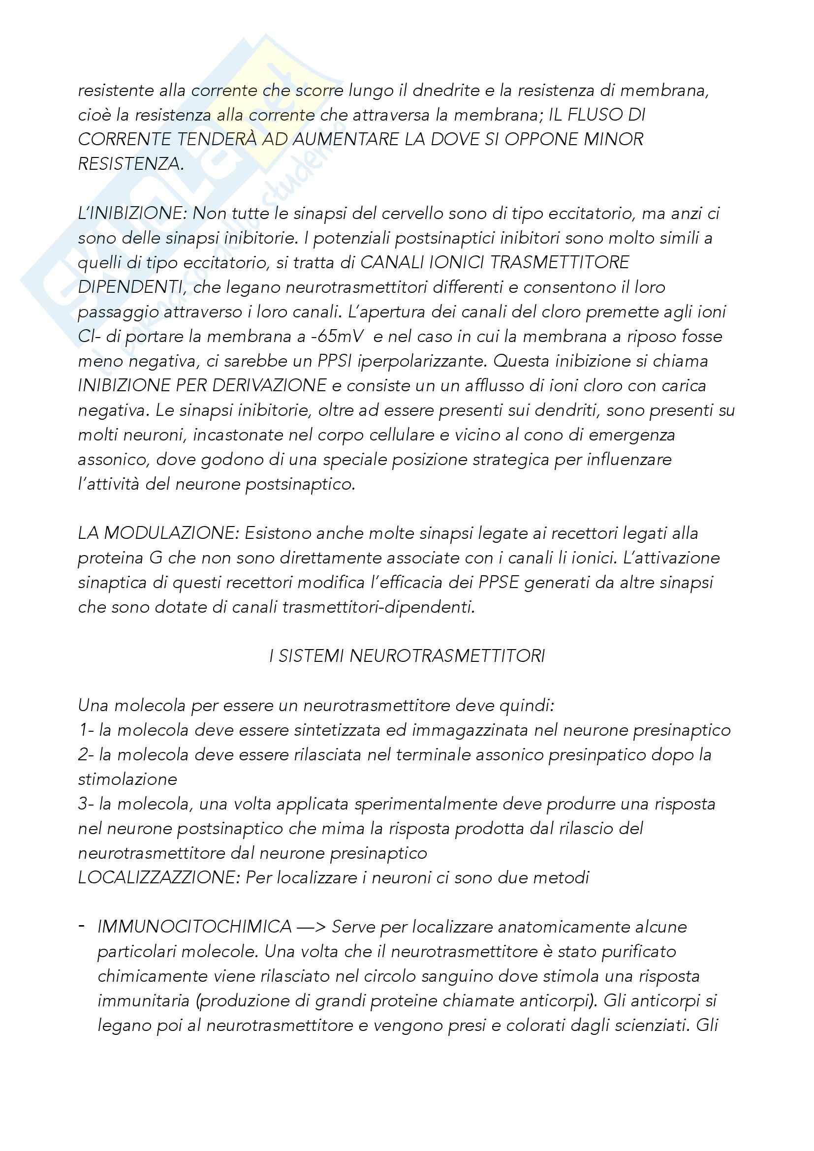 Riassunto esame Psicobiologia, prof. Dadda, libro consigliato Neuroscienze - esplorando il cervello, Bear Pag. 26