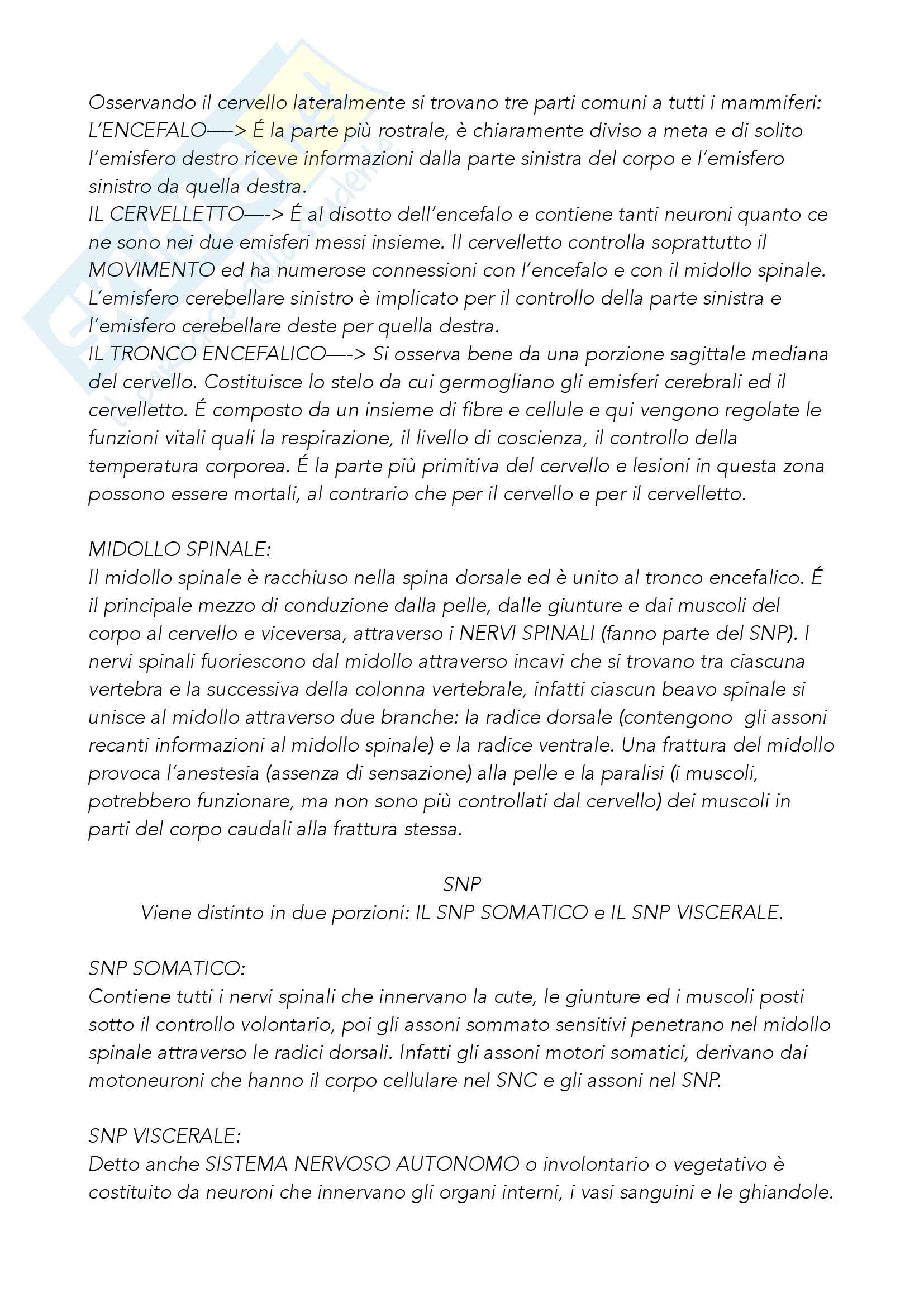 Riassunto esame Psicobiologia, prof. Dadda, libro consigliato Neuroscienze - esplorando il cervello, Bear Pag. 36