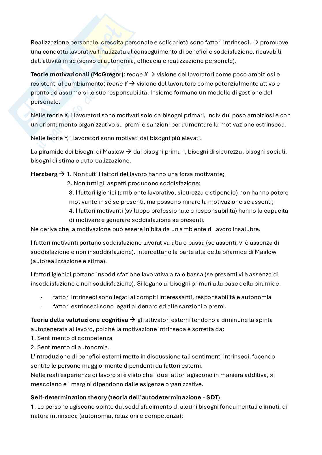 Appunti completi delle lezioni di Psicologia del lavoro Pag. 16