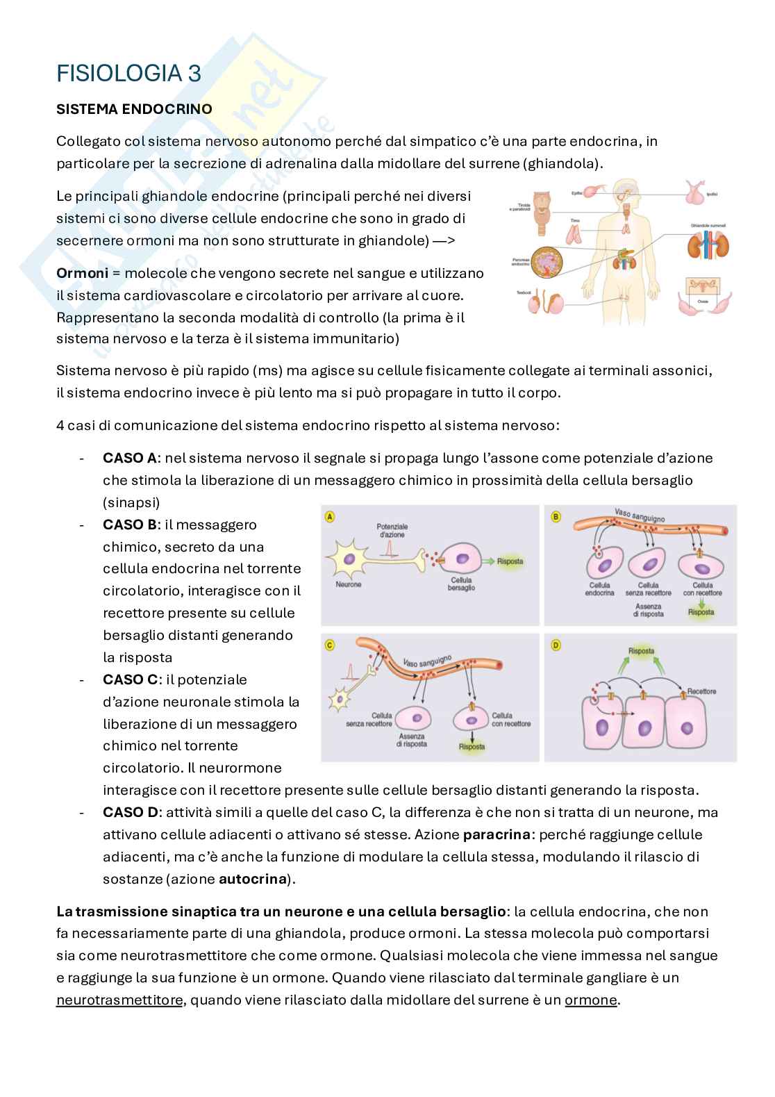 Appunti Fisiologia 3   Pag. 1