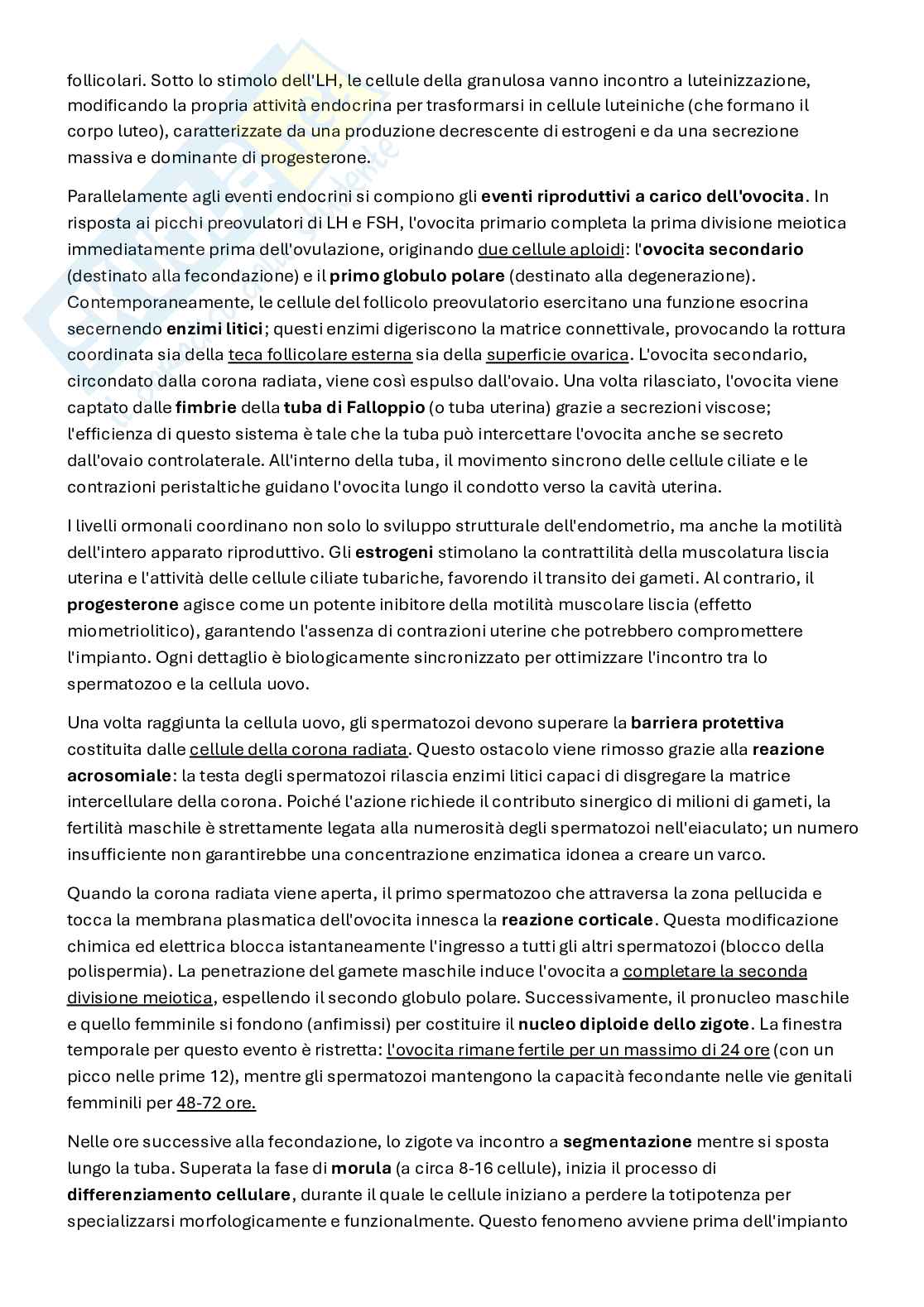 Appunti Fisiologia 3   Pag. 16