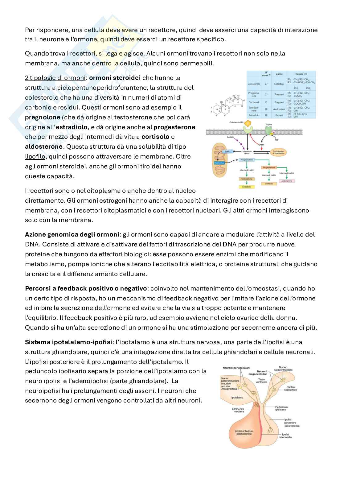 Appunti Fisiologia 3   Pag. 2
