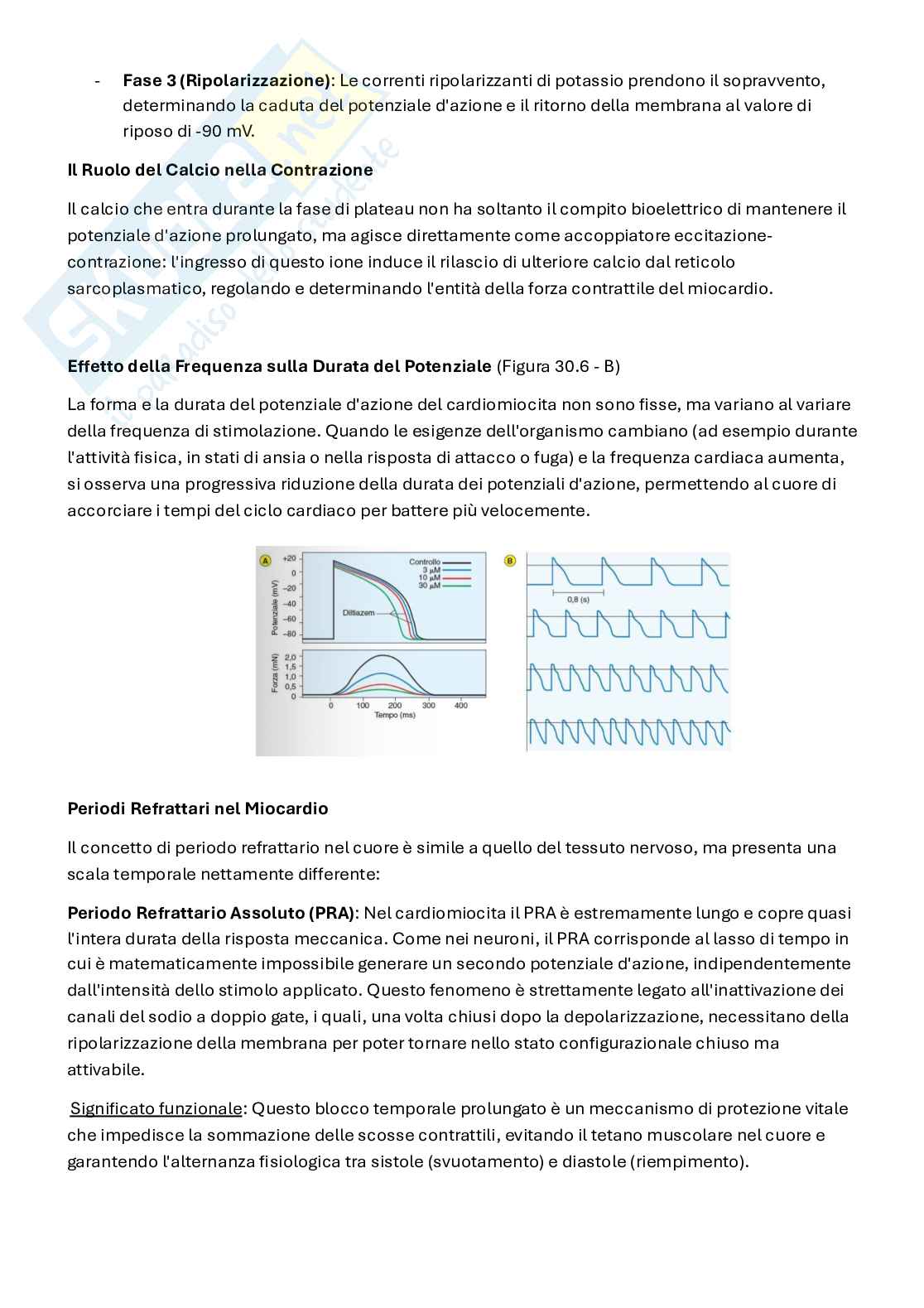 Appunti Fisiologia 3   Pag. 26
