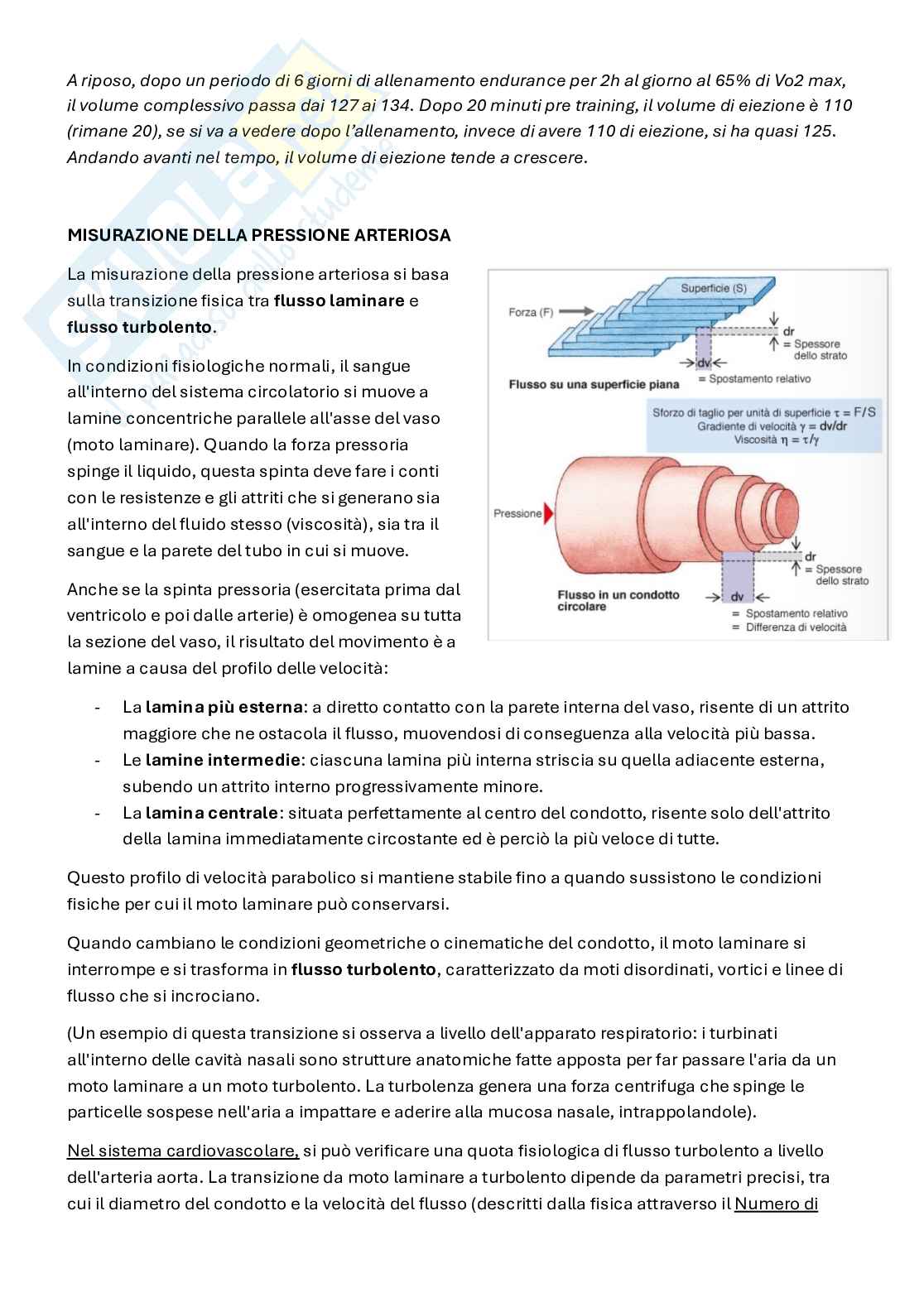 Appunti Fisiologia 3   Pag. 36