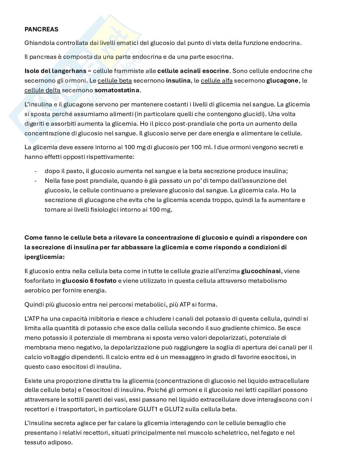 Appunti Fisiologia 3   Pag. 6