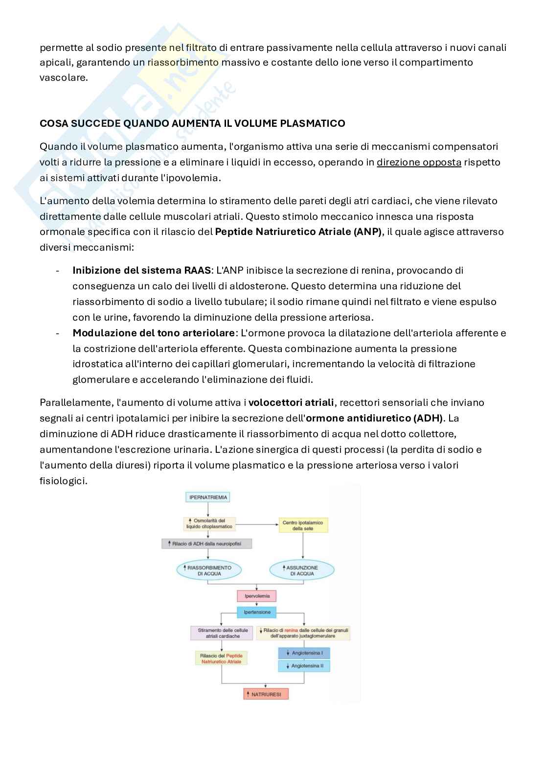 Appunti Fisiologia 3   Pag. 71