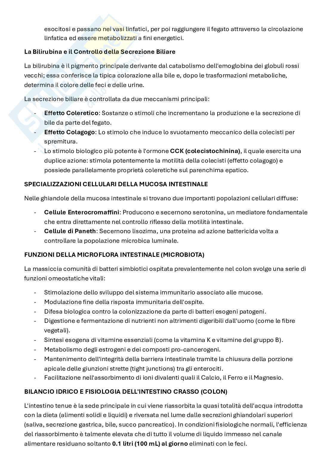 Appunti Fisiologia 3   Pag. 91