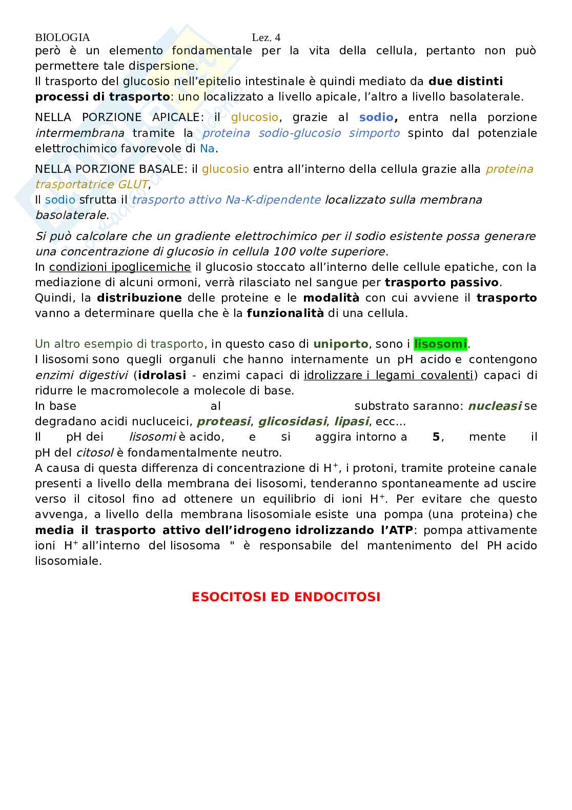 Biologia - lezione 4 Pag. 16