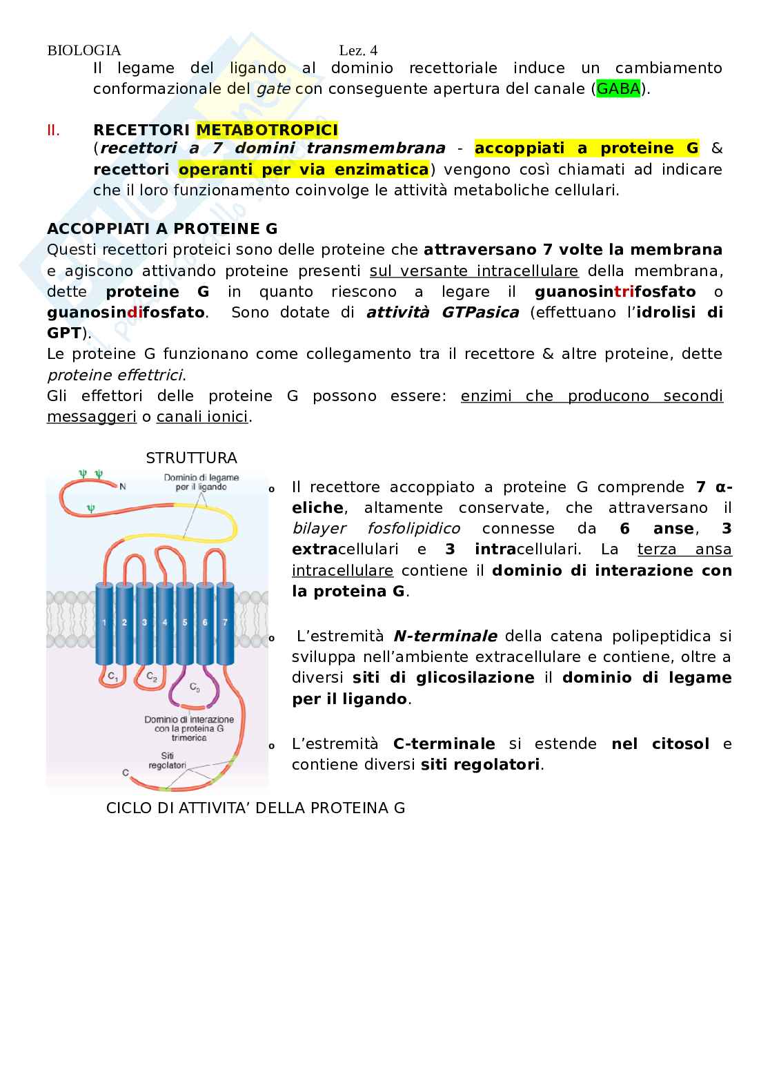 Biologia - lezione 4 Pag. 21