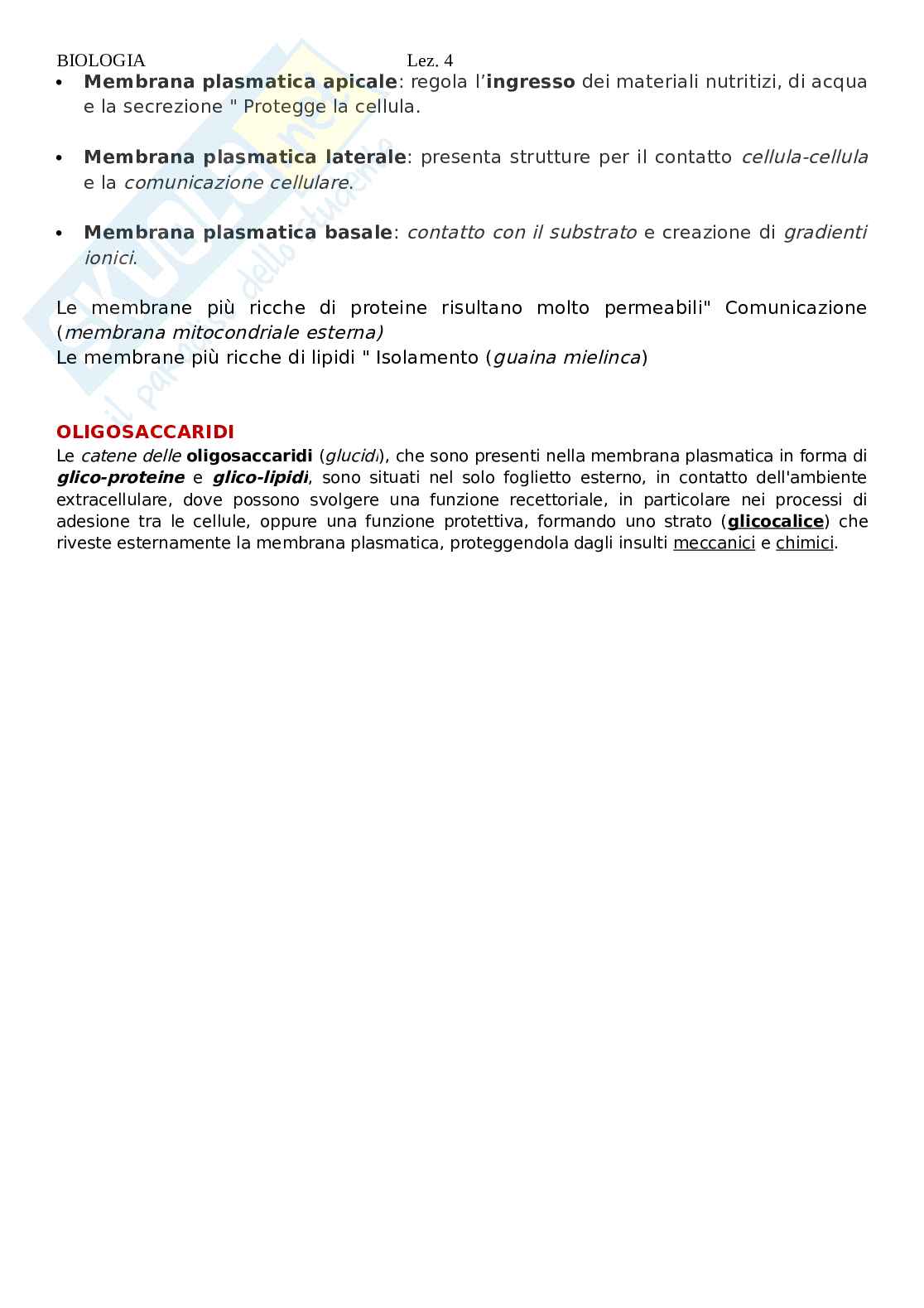 Biologia - lezione 4 Pag. 6
