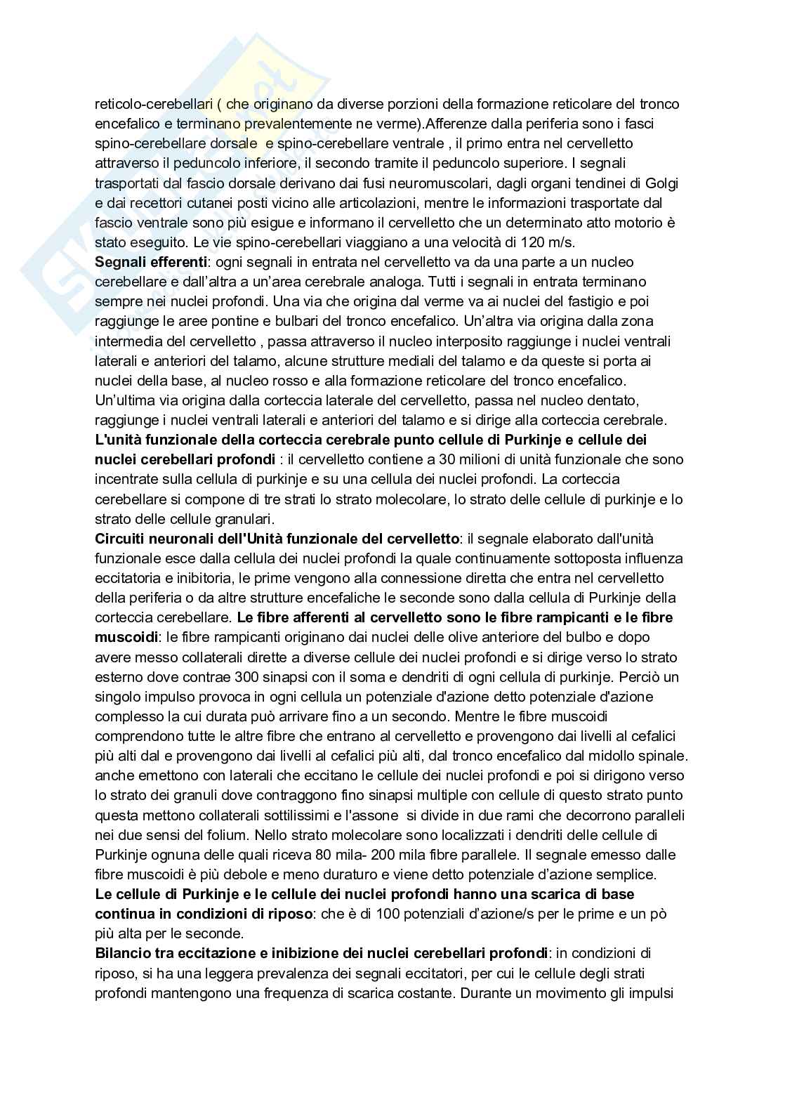 Funzioni motorie del midollo spinale, riflessi spinali Pag. 11