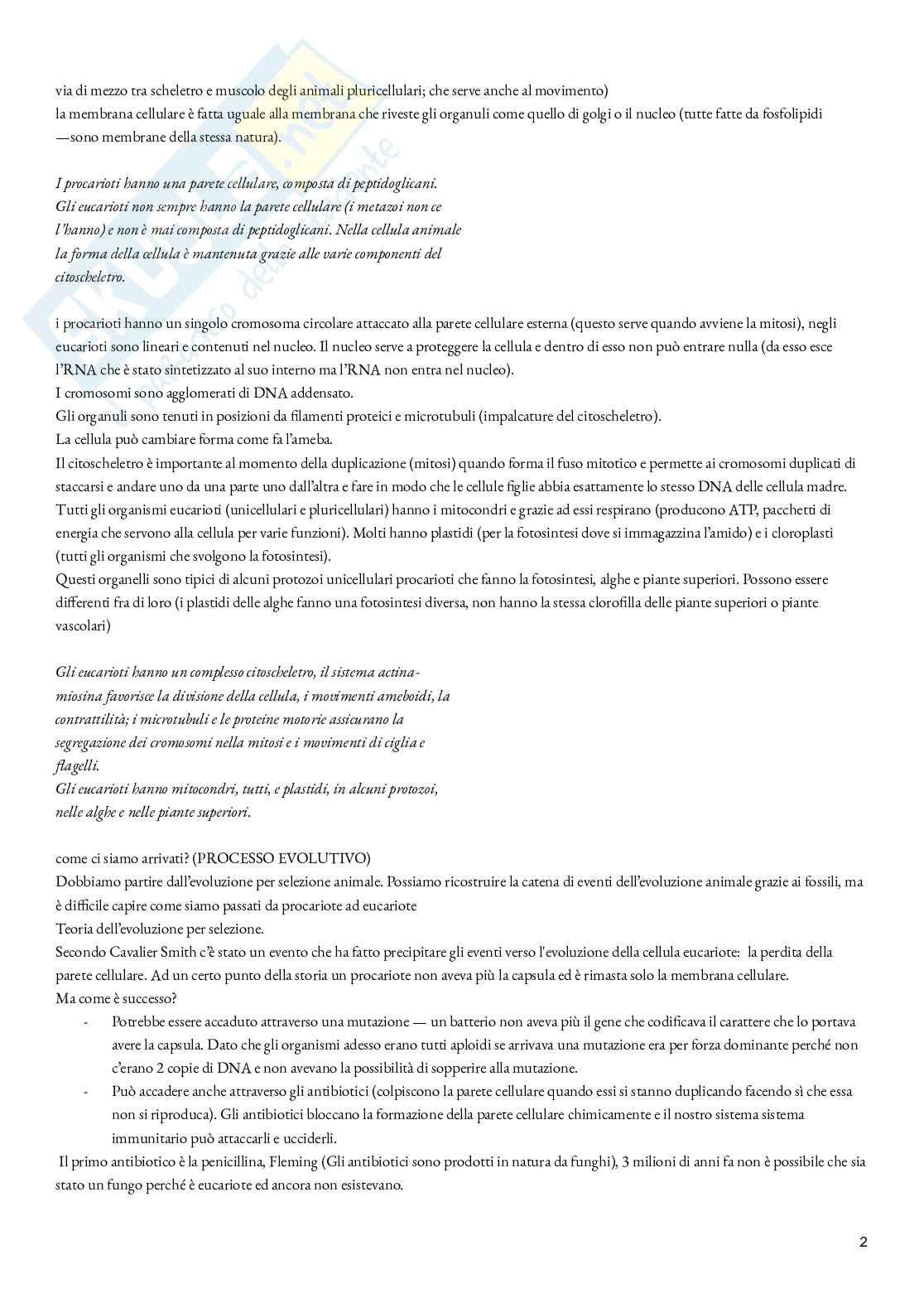Introduzione alla zoologia e riproduzione dei metazoi Pag. 2