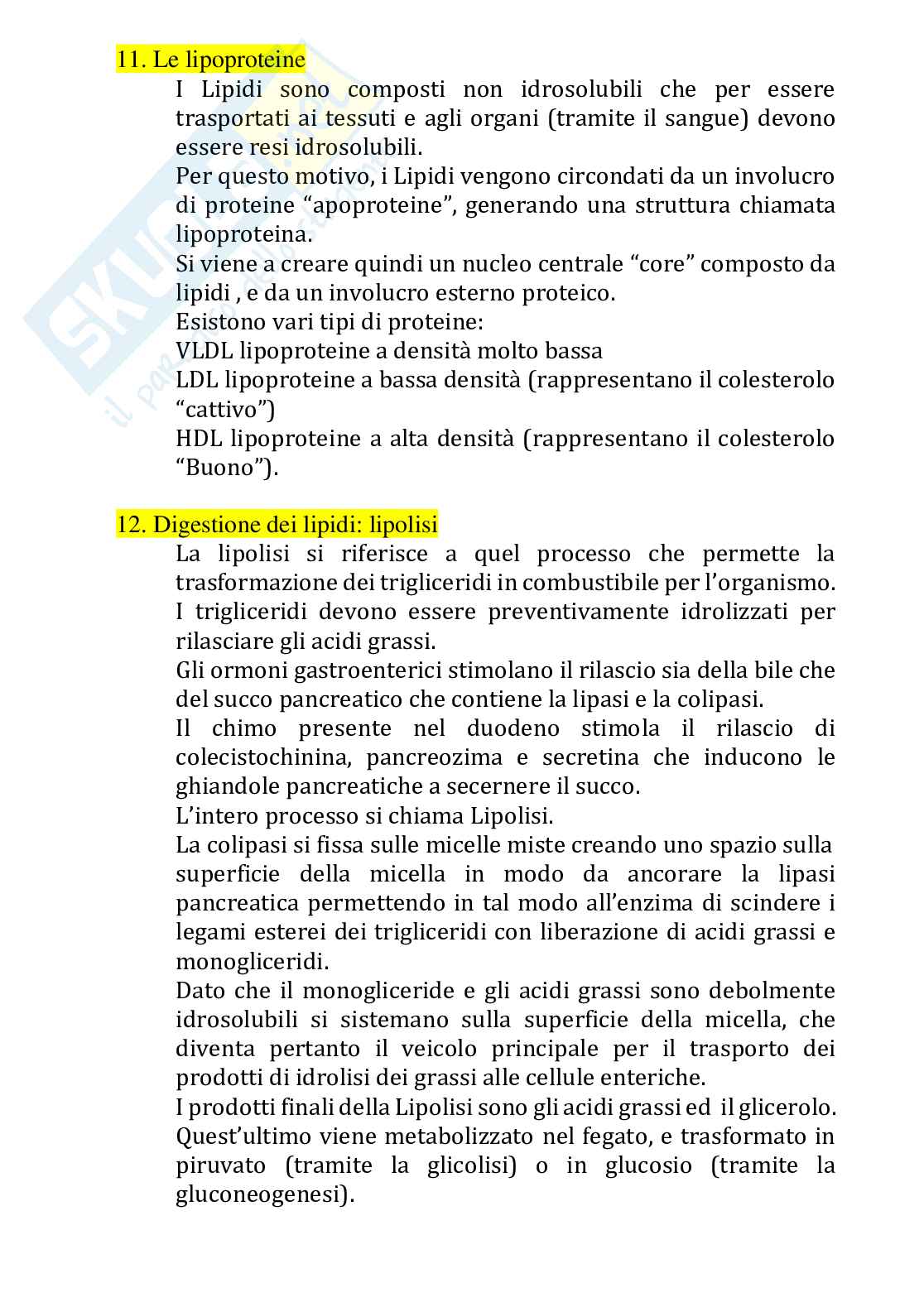 Paniere completo di Fisiologia dei nutrienti (2026) - Risposte multiple e aperte corrette Pag. 36